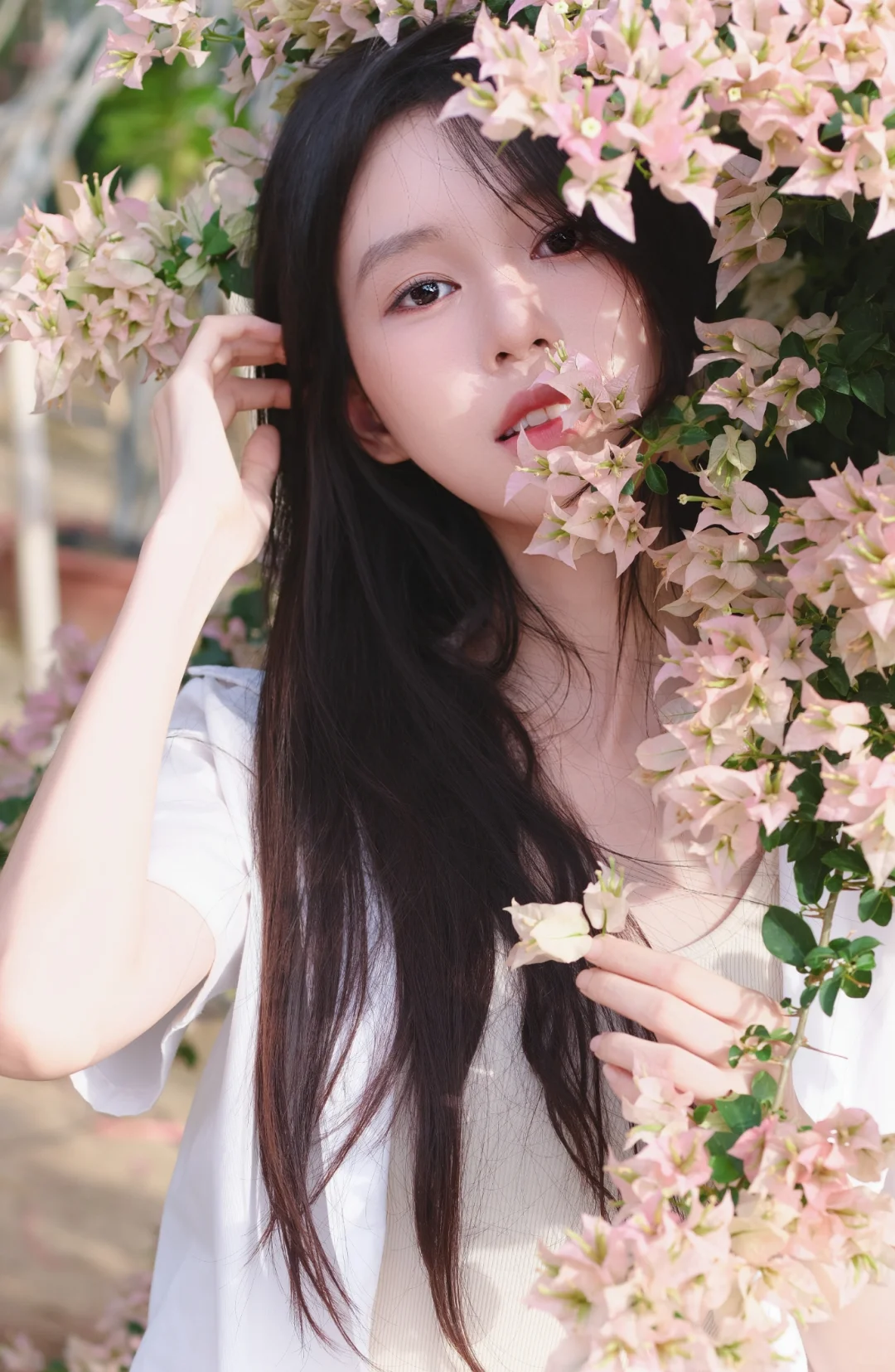 一颗三角梅就有各种角度