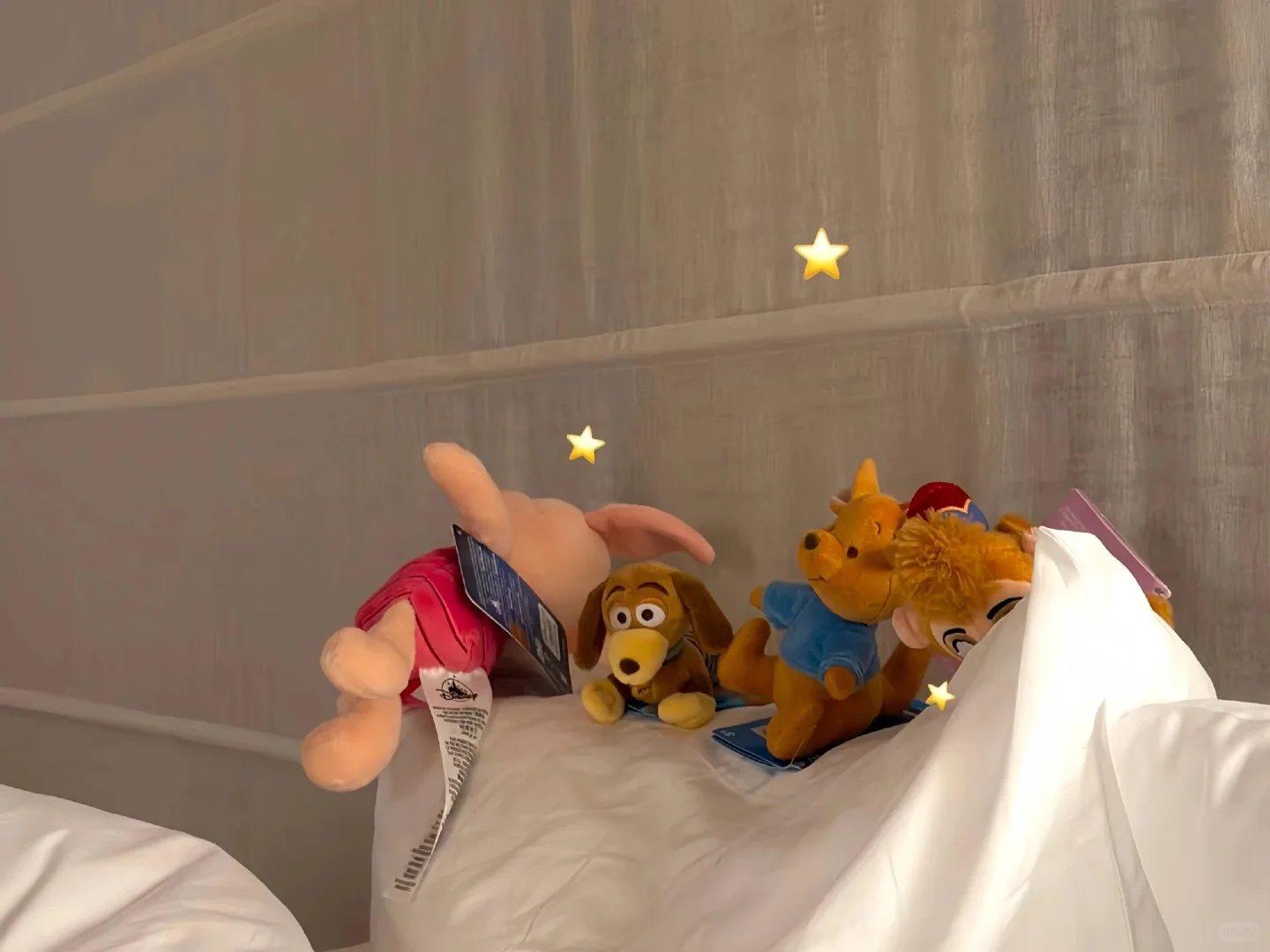 IPAD里的的秋天🍂