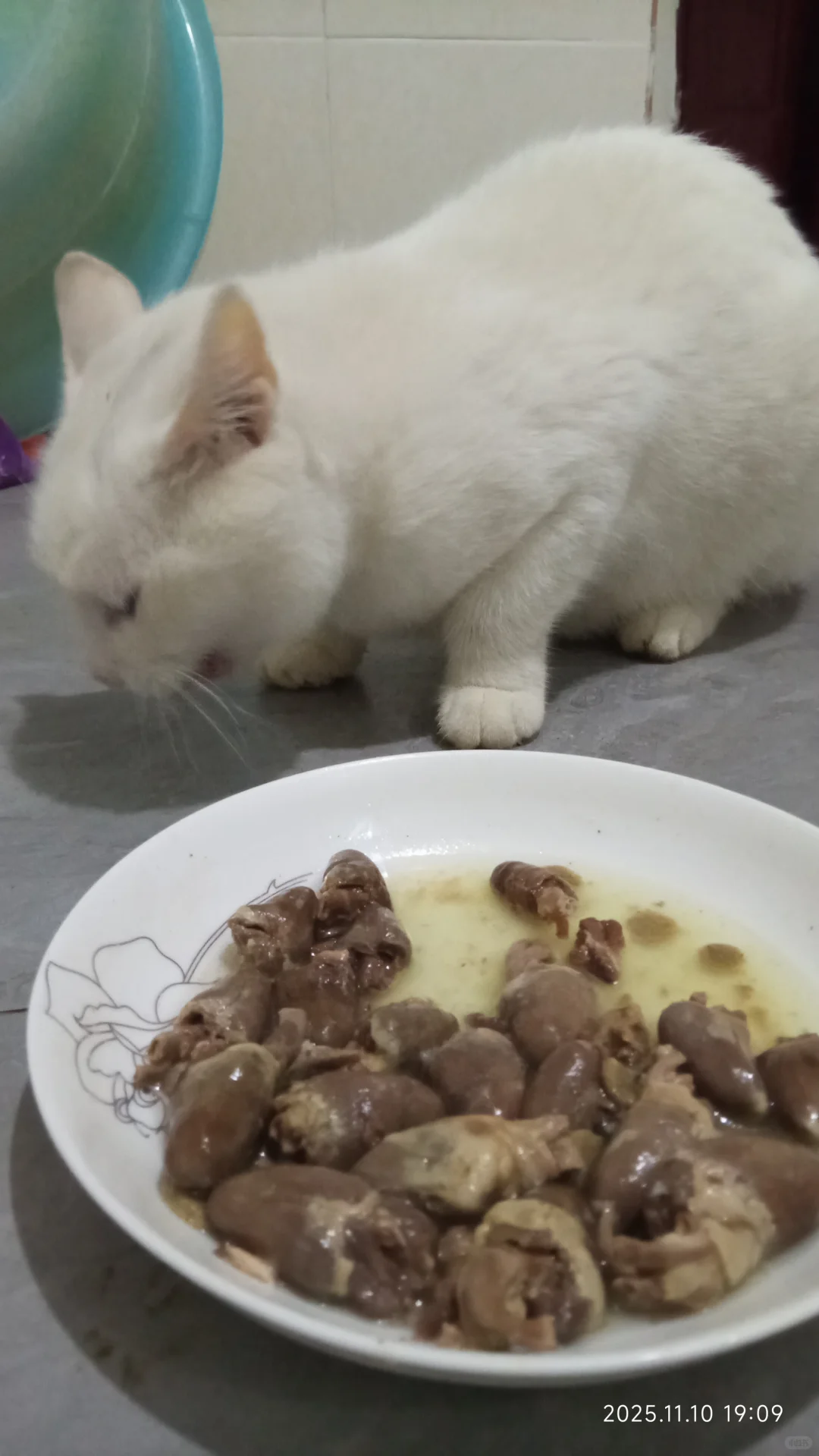 我们都是天使小女孩