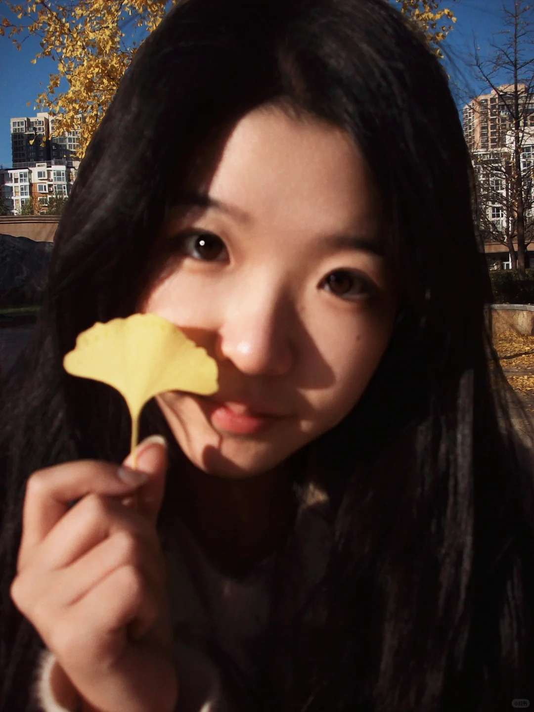 04女大⎮又是一年首经贸的秋