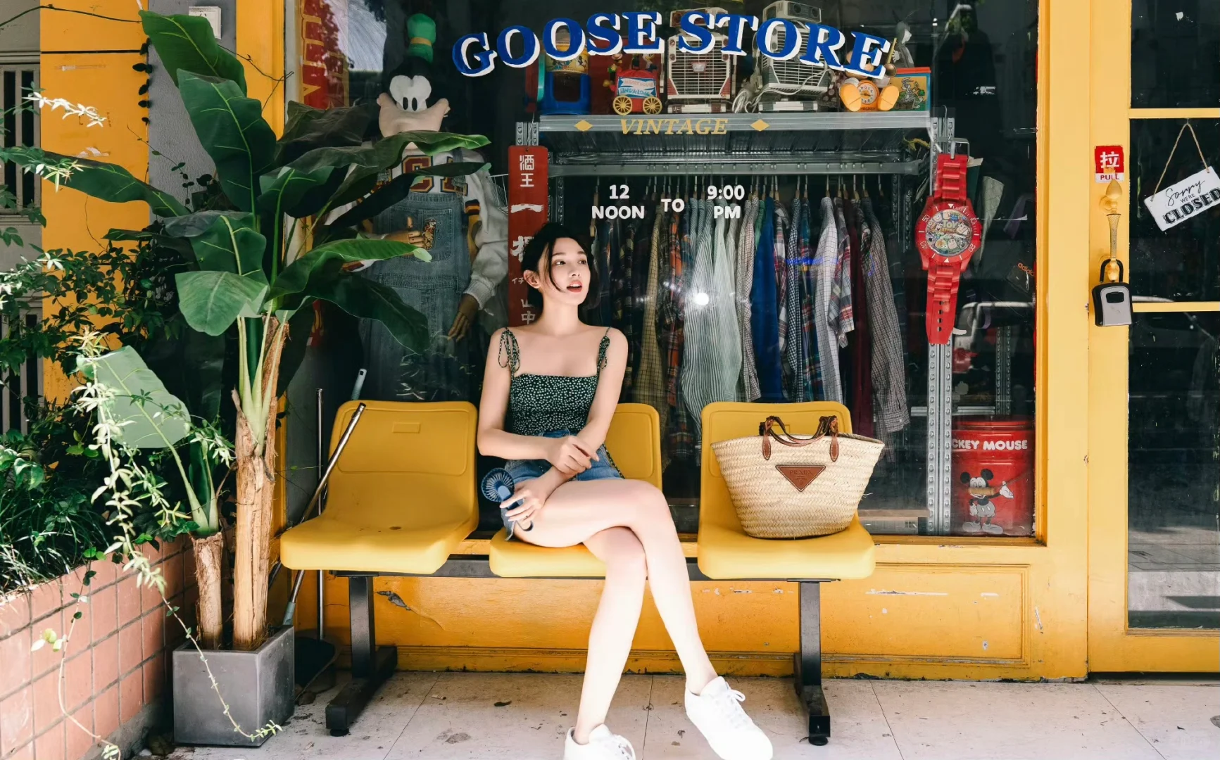 彭小冉-风中的不甜