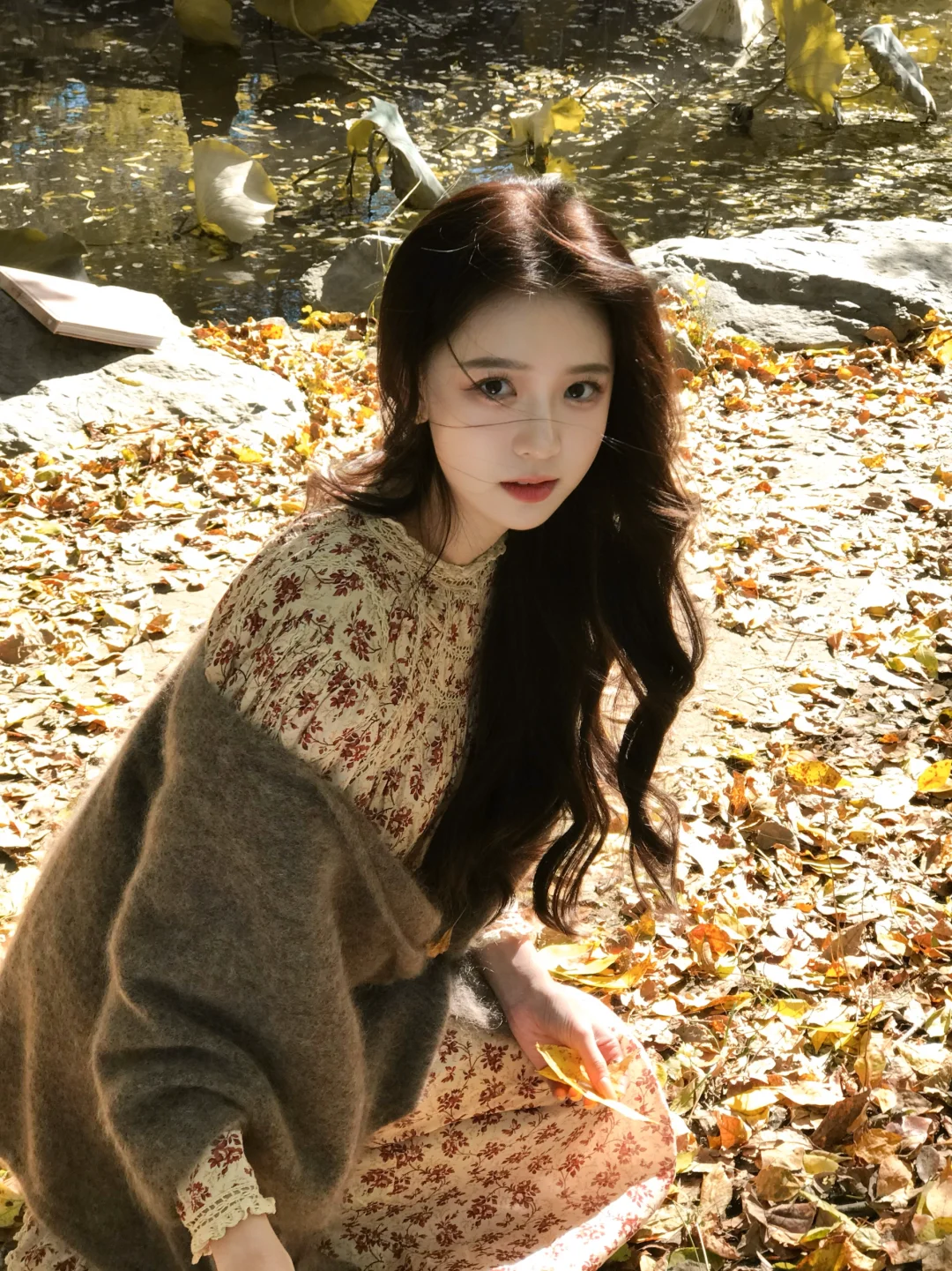 世界柔软得像毛衣