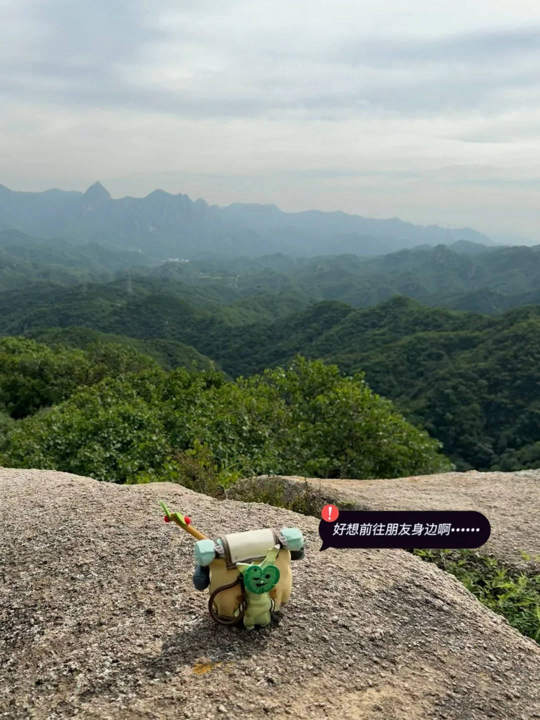 我是一头野生大蛮牛