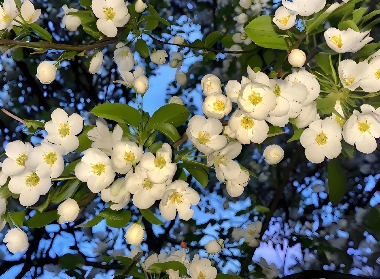 ios26 ipad裸眼3d壁纸