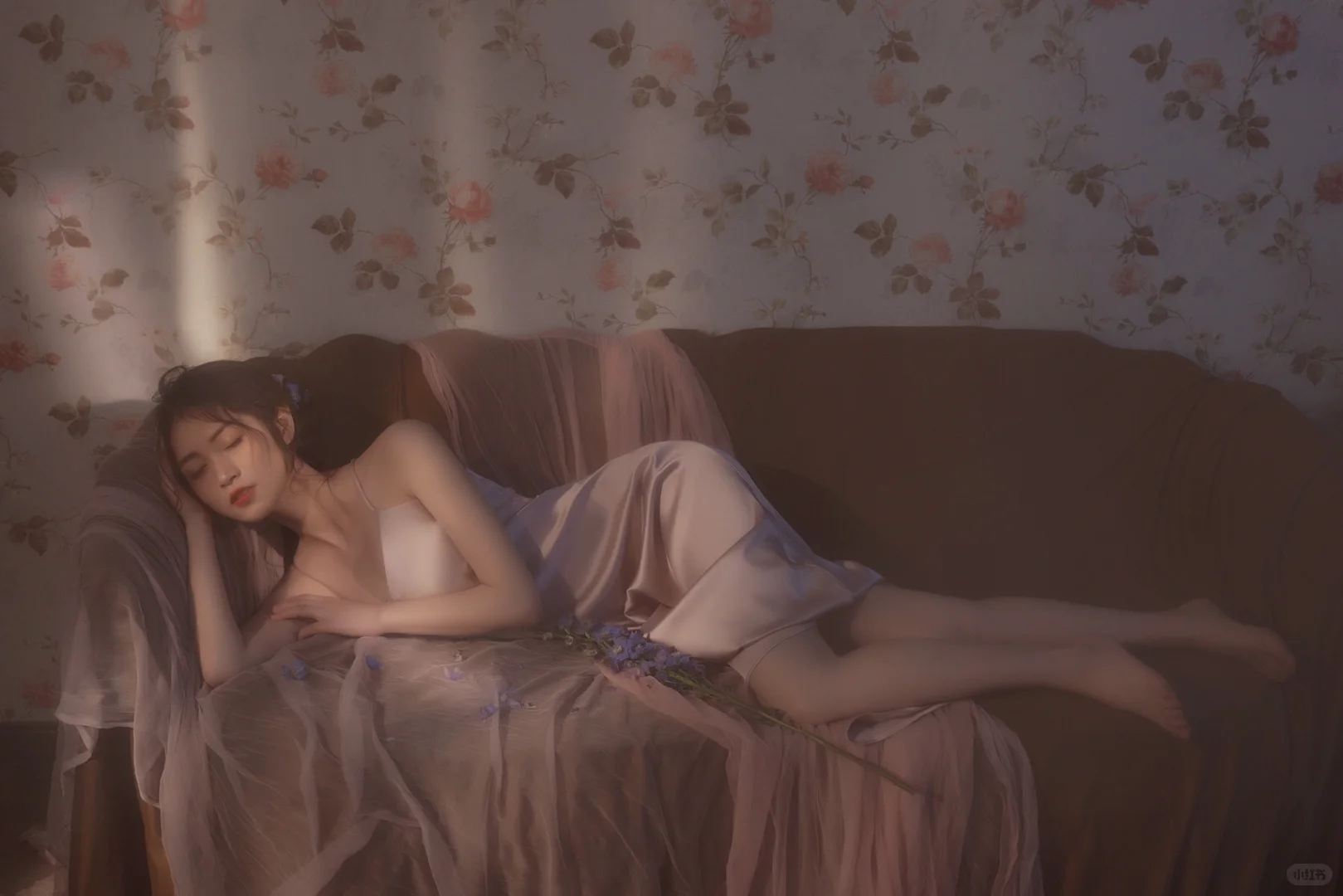 私房写真|慵懒午后的惬意