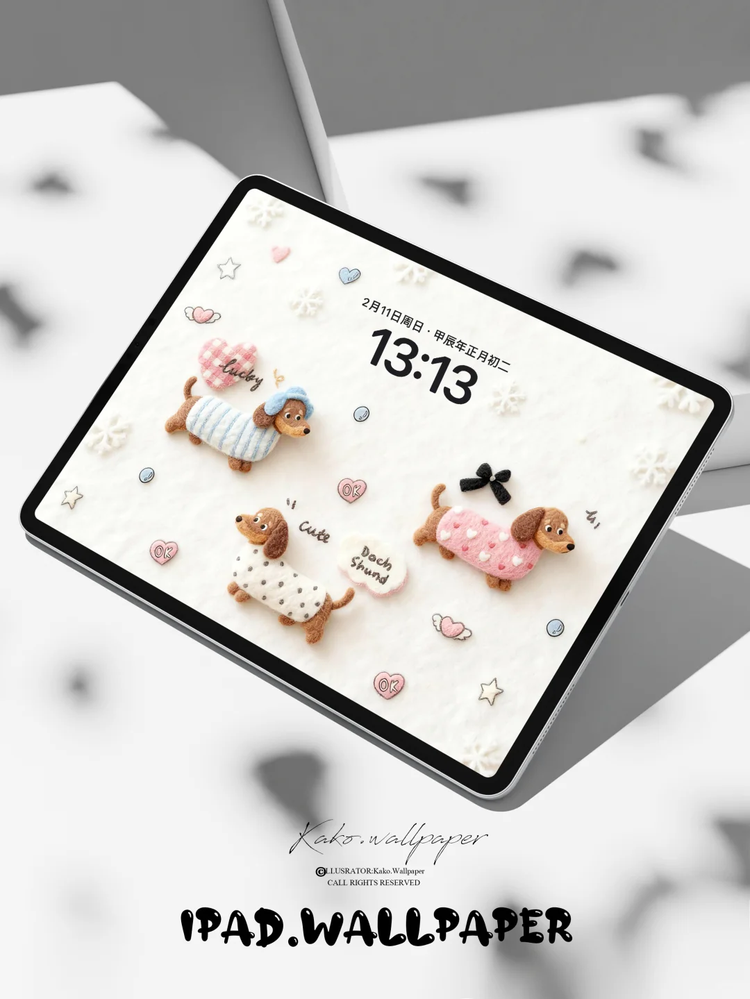 iPad 壁纸｜毛绒腊肠狗｜169