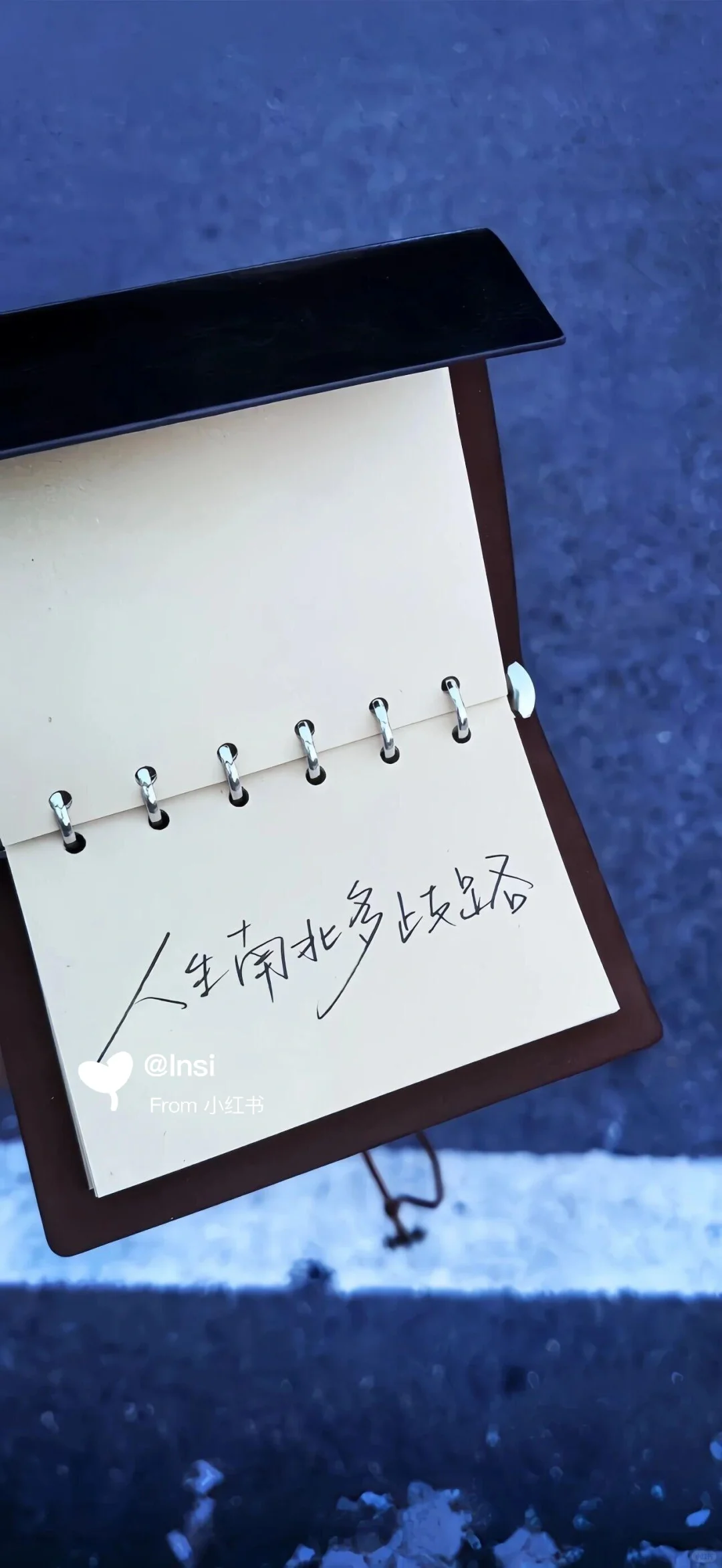 每日壁纸｜❄️❄️❄️ 祝大家11月顺利。