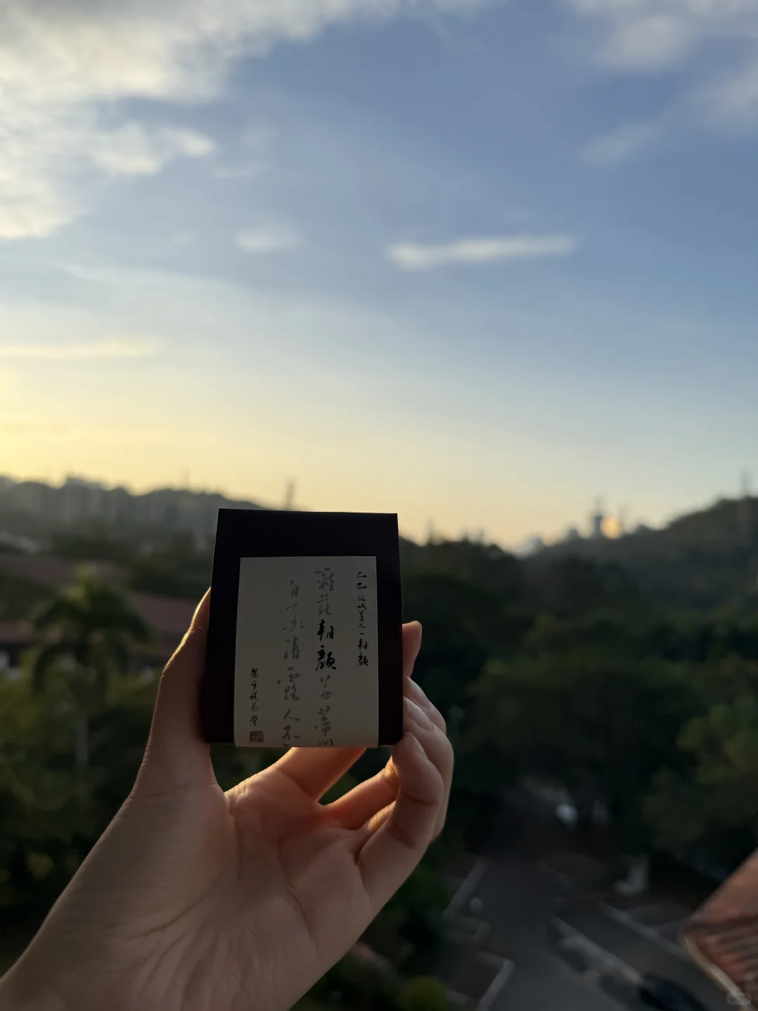 2025年最惊喜的东方美人测评—倾城