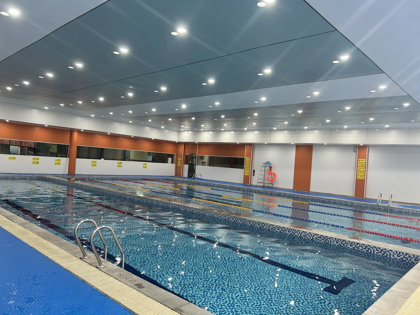 女性必试！游泳真的太香了