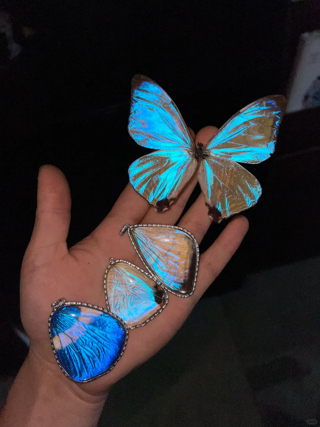 玩物丧志集上的新款｜ 闪蝶吊坠！