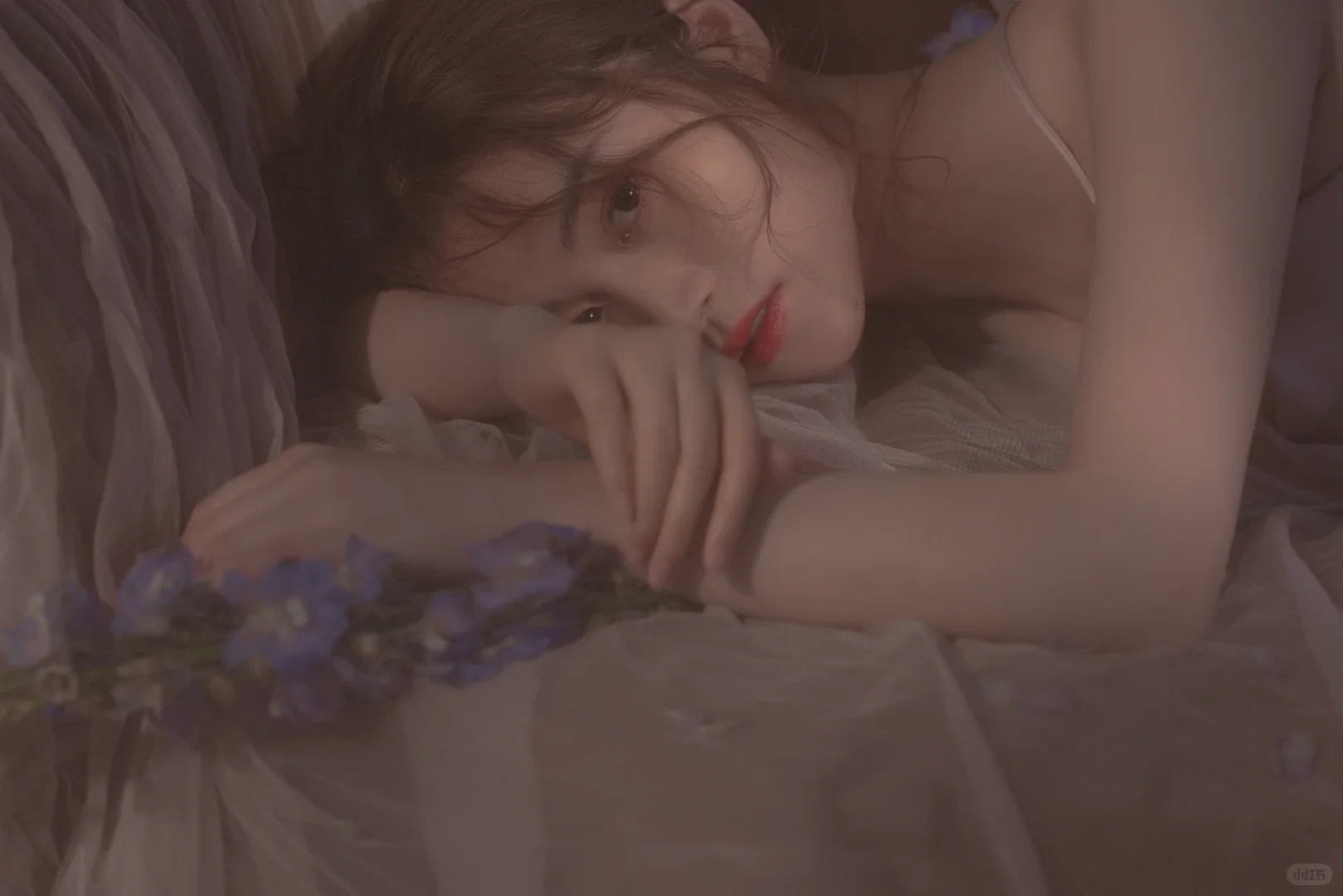 私房写真|慵懒午后的惬意