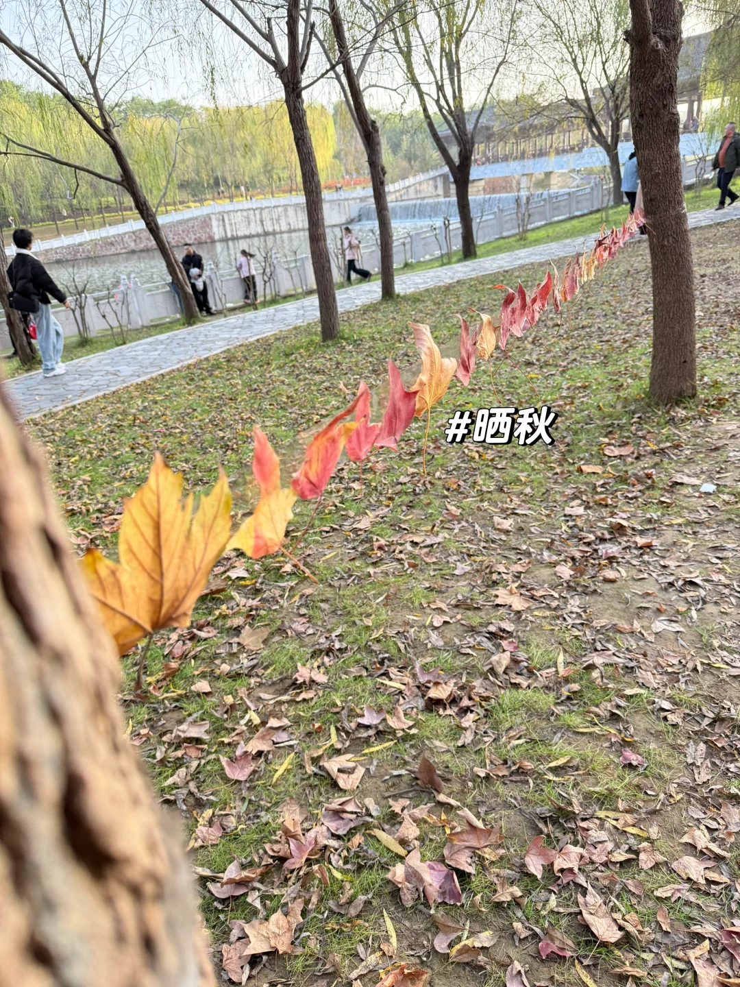 河工大女研一的一天