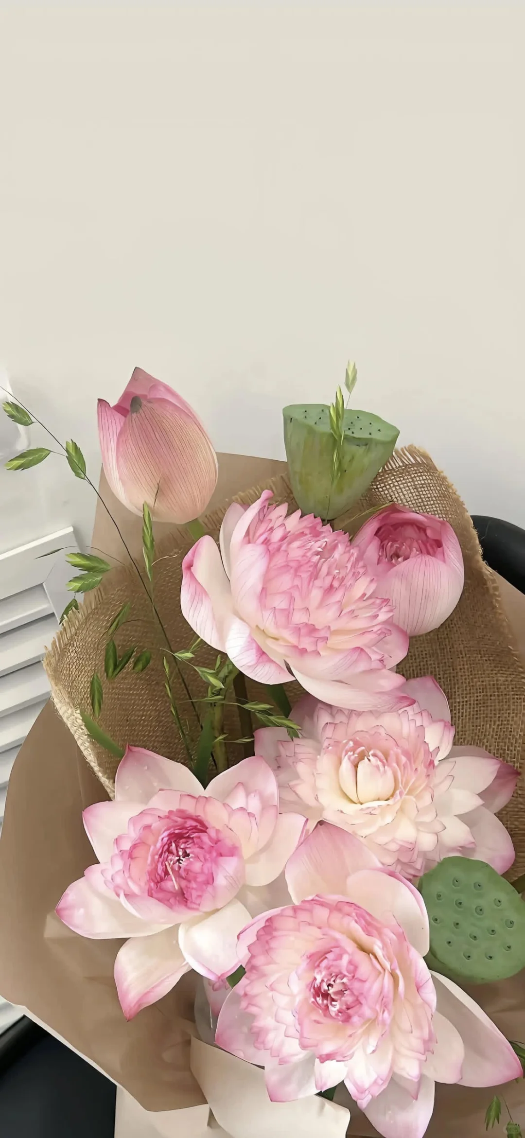 今日份ins风壁纸请查收🐻🌺