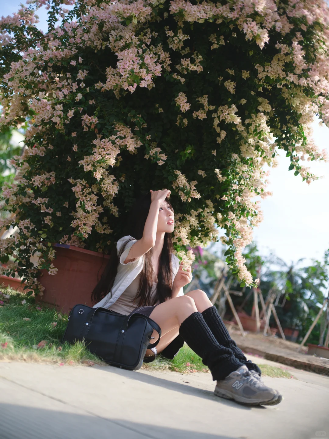 一颗三角梅就有各种角度