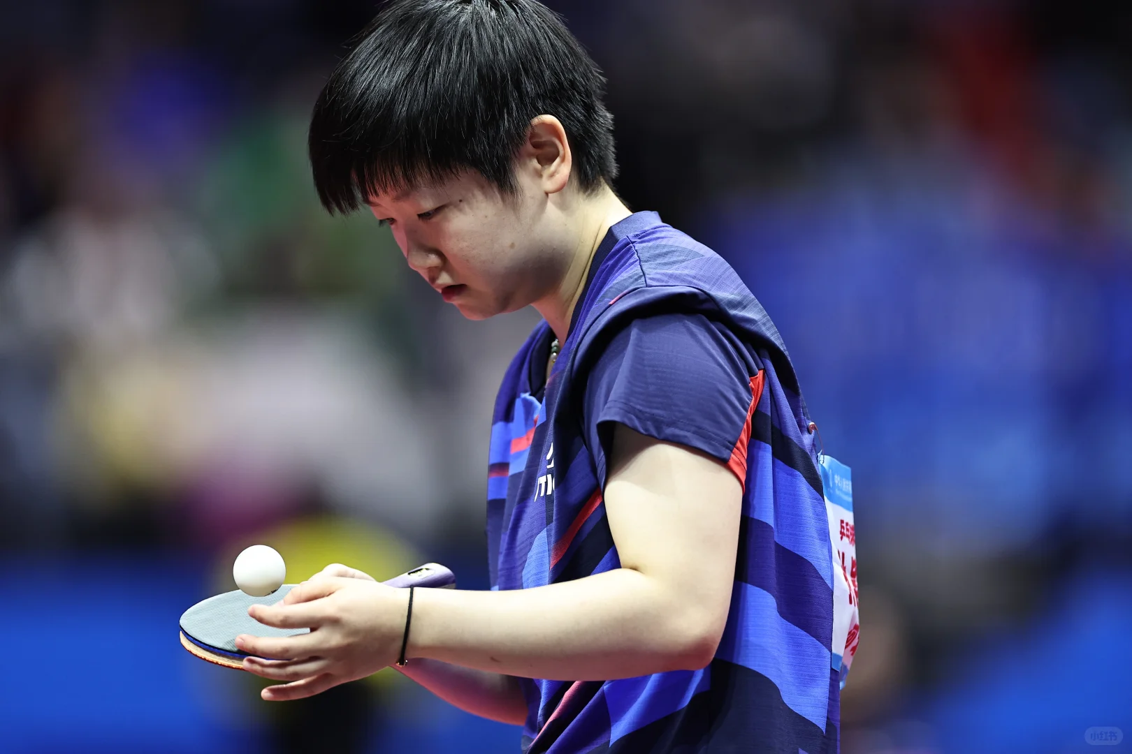 第十五届全国运动会🏓🦈 11.12