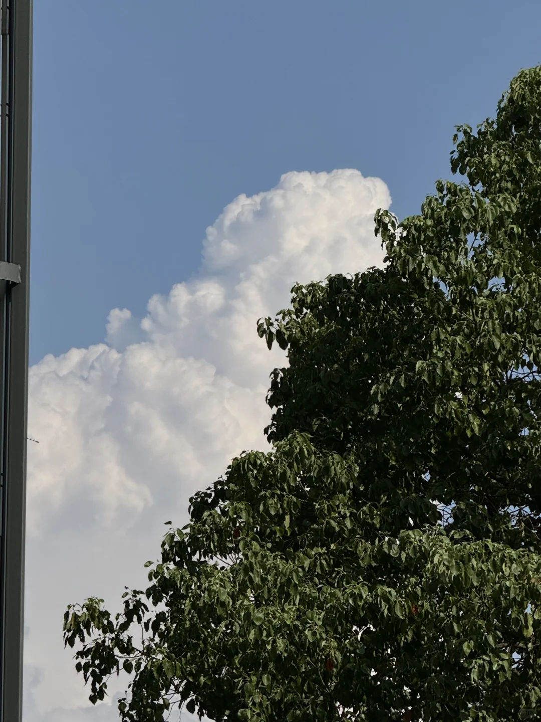 🔁有天晚上突然想做汽车博主 然后就这样了