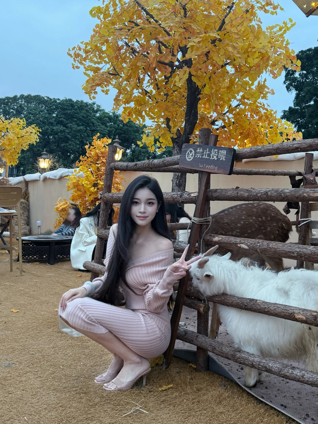 就在东莞！可以拍美照又可以吃漂亮饭🍂