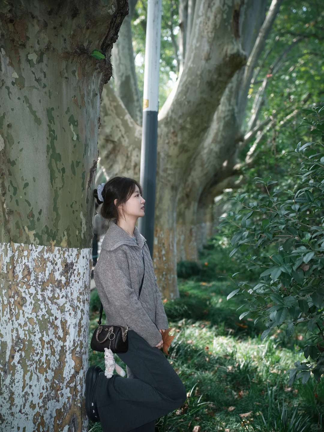花100r拍的照片！大家觉得值吗