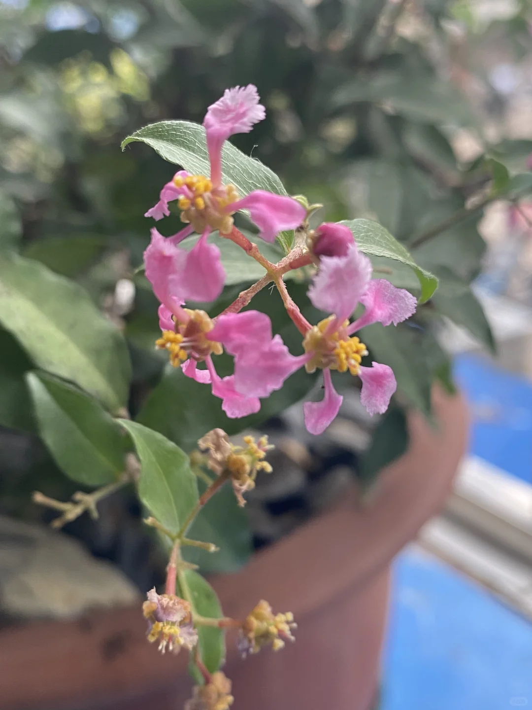 42岁，魅力不减韵味正浓