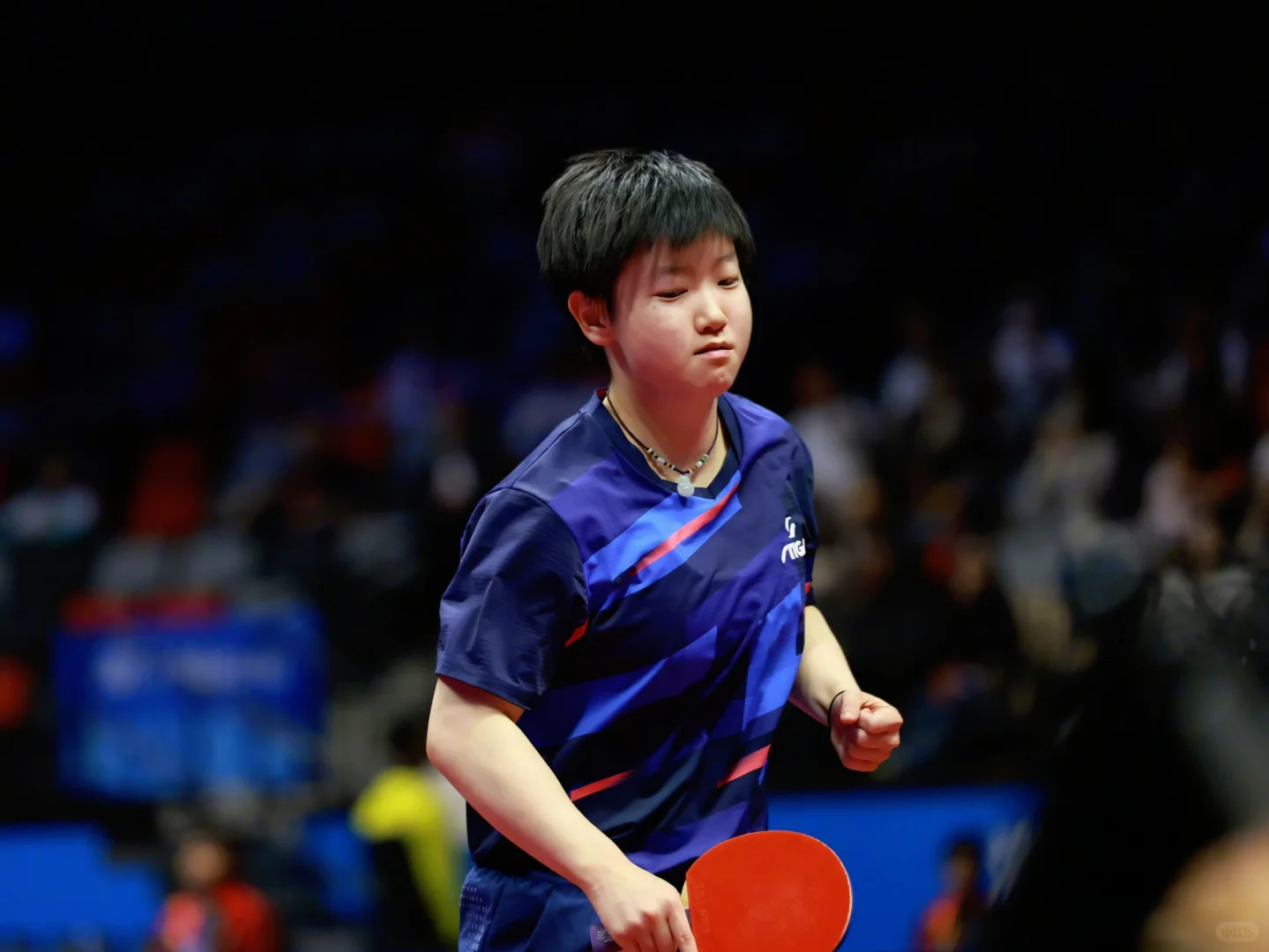 第十五届全国运动会🏓🦈 11.12