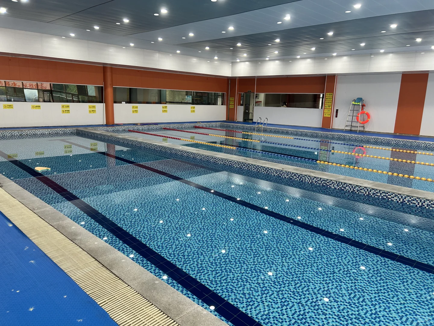 女性必试！游泳真的太香了