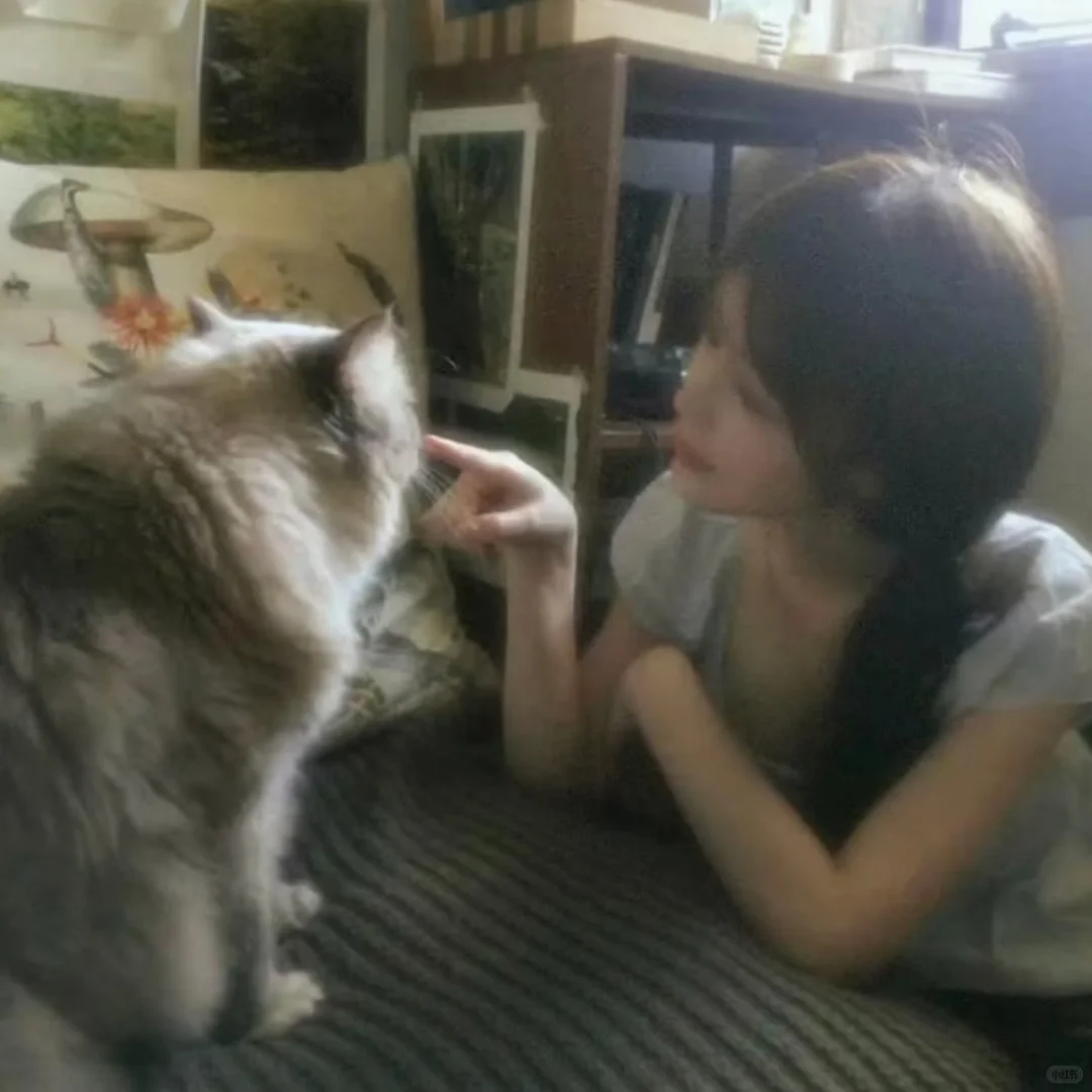 𝗪𝗲𝗰𝗵𝗮𝘁 古早低像素女头丨初见乍惊欢