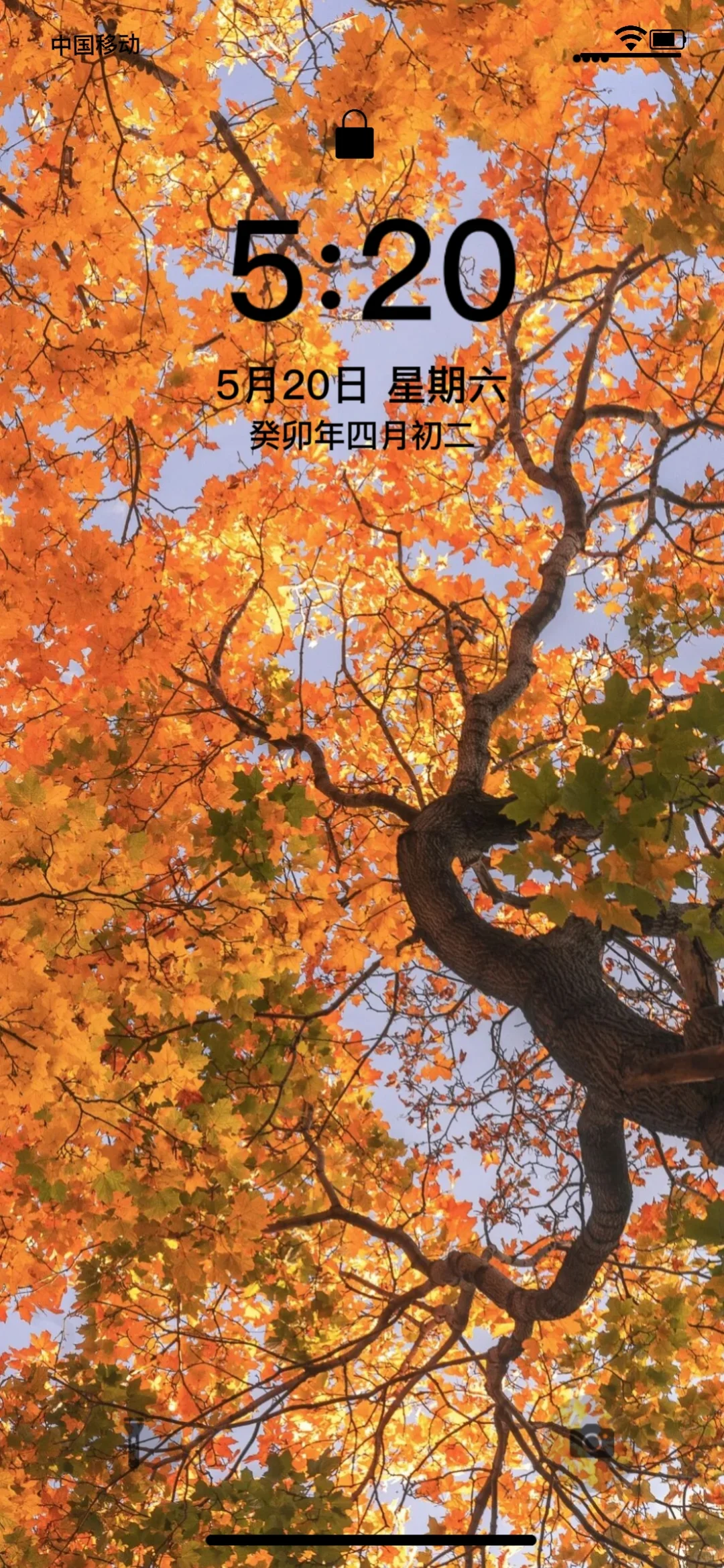 ins超好看的秋天壁纸！🍎🍁