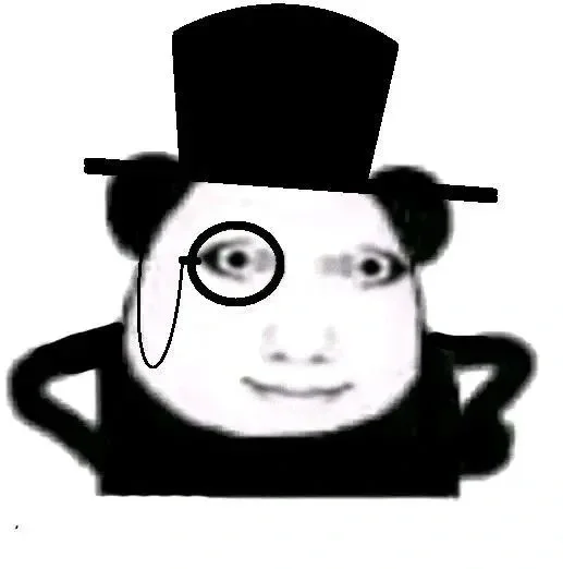 龙龙上新｜快来进货嘻嘻