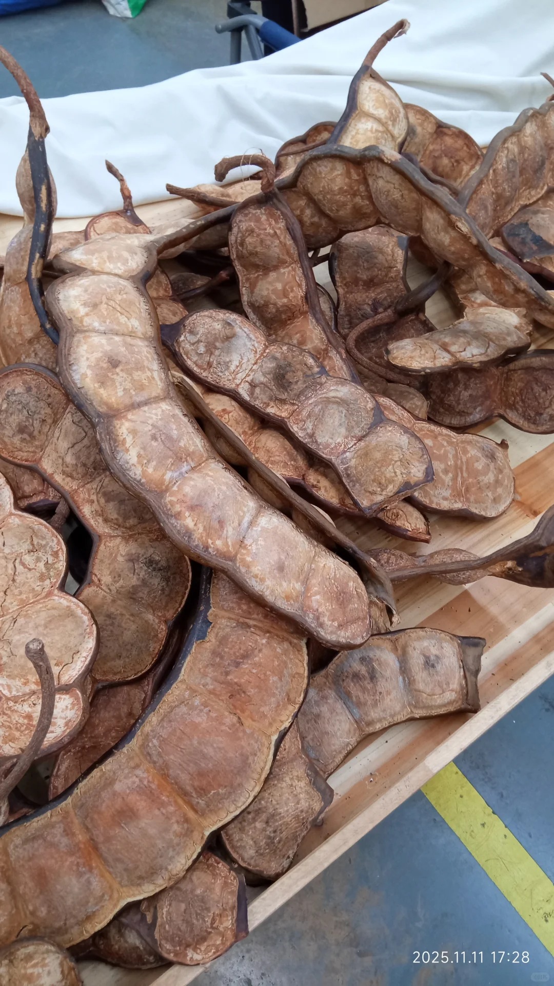 我们都是天使小女孩