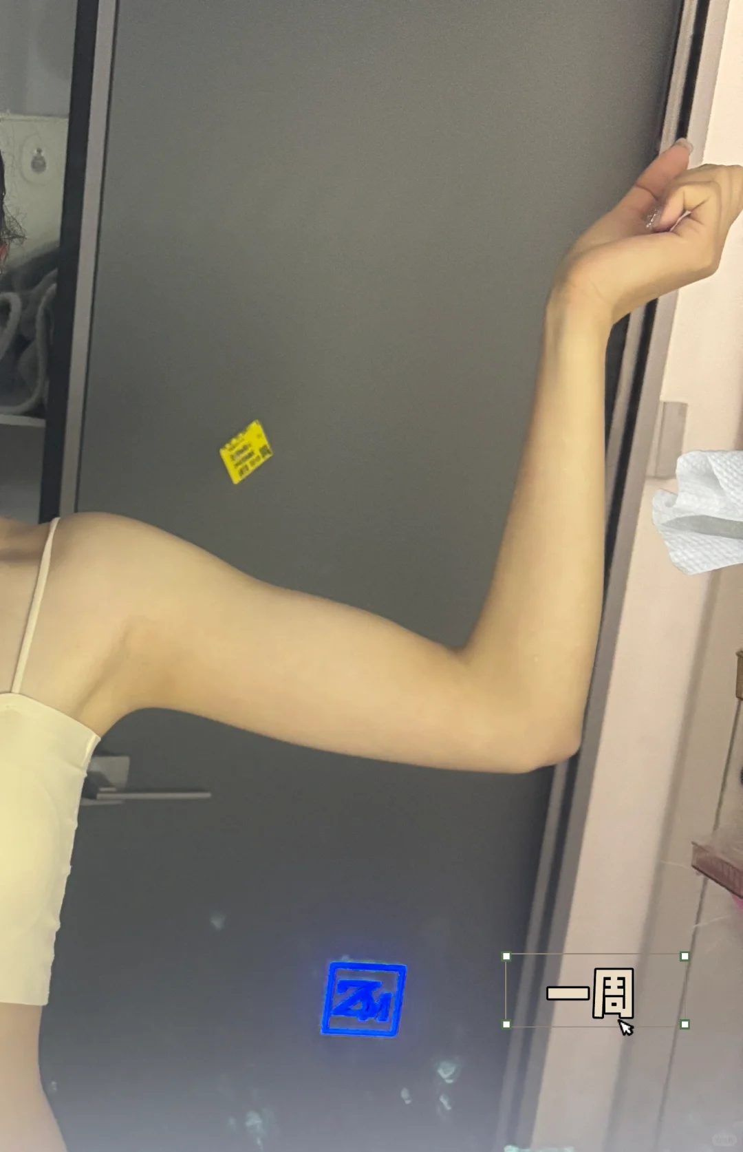 见人不如健身｜手臂训练（持续更新ing）