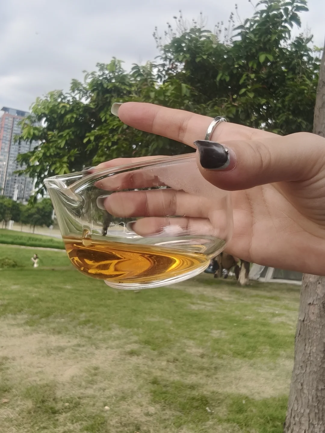 2025年最惊喜的东方美人测评—倾城