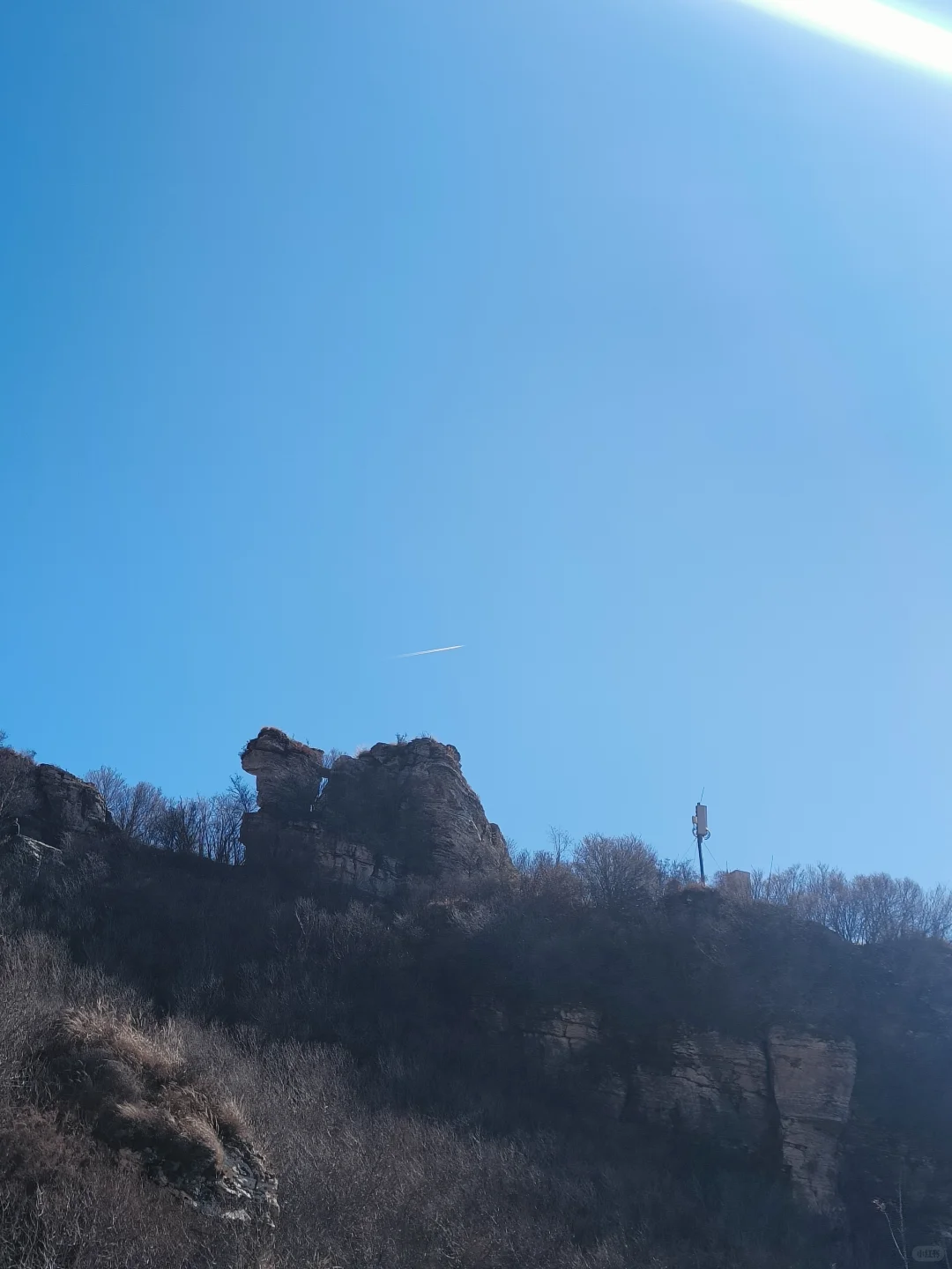 小博美征服白石山