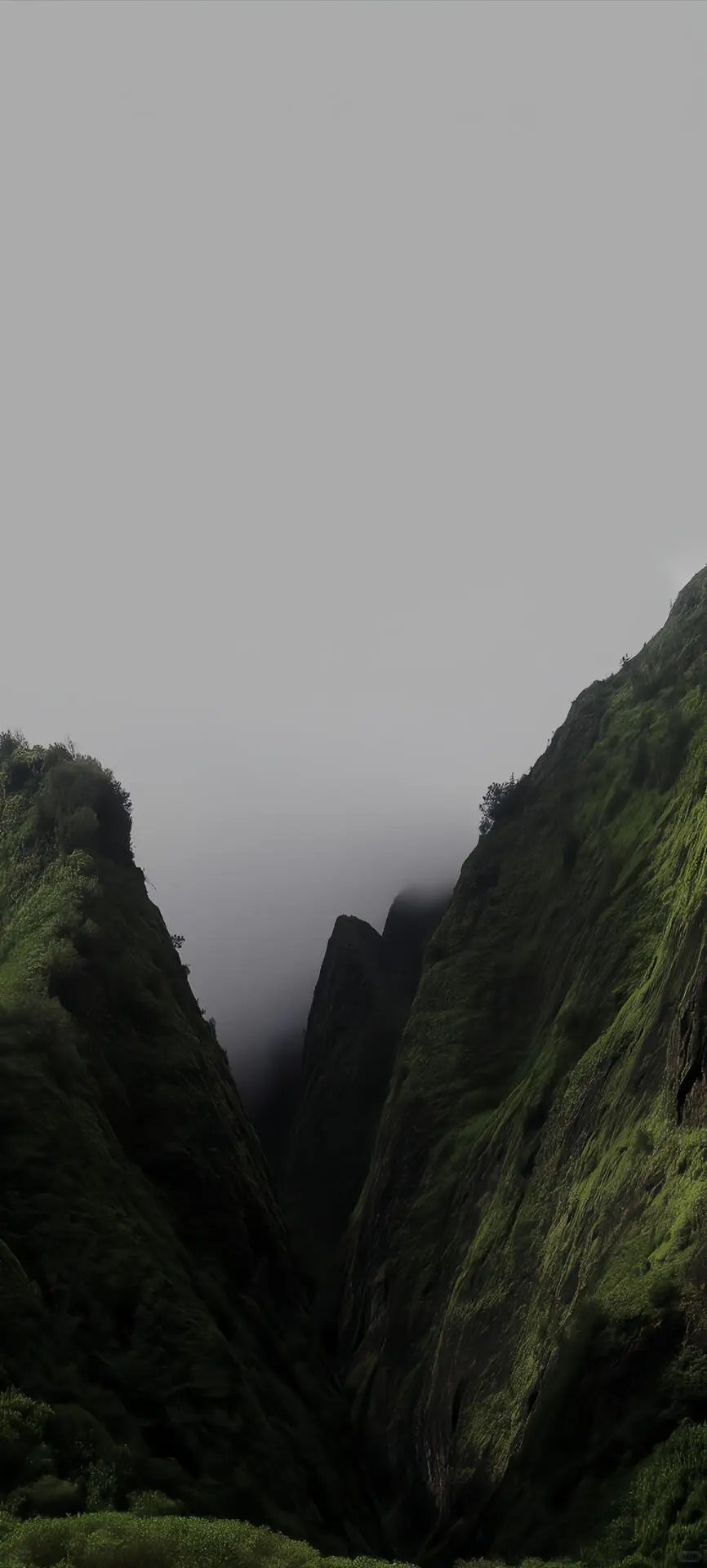 精选壁纸｜全屏