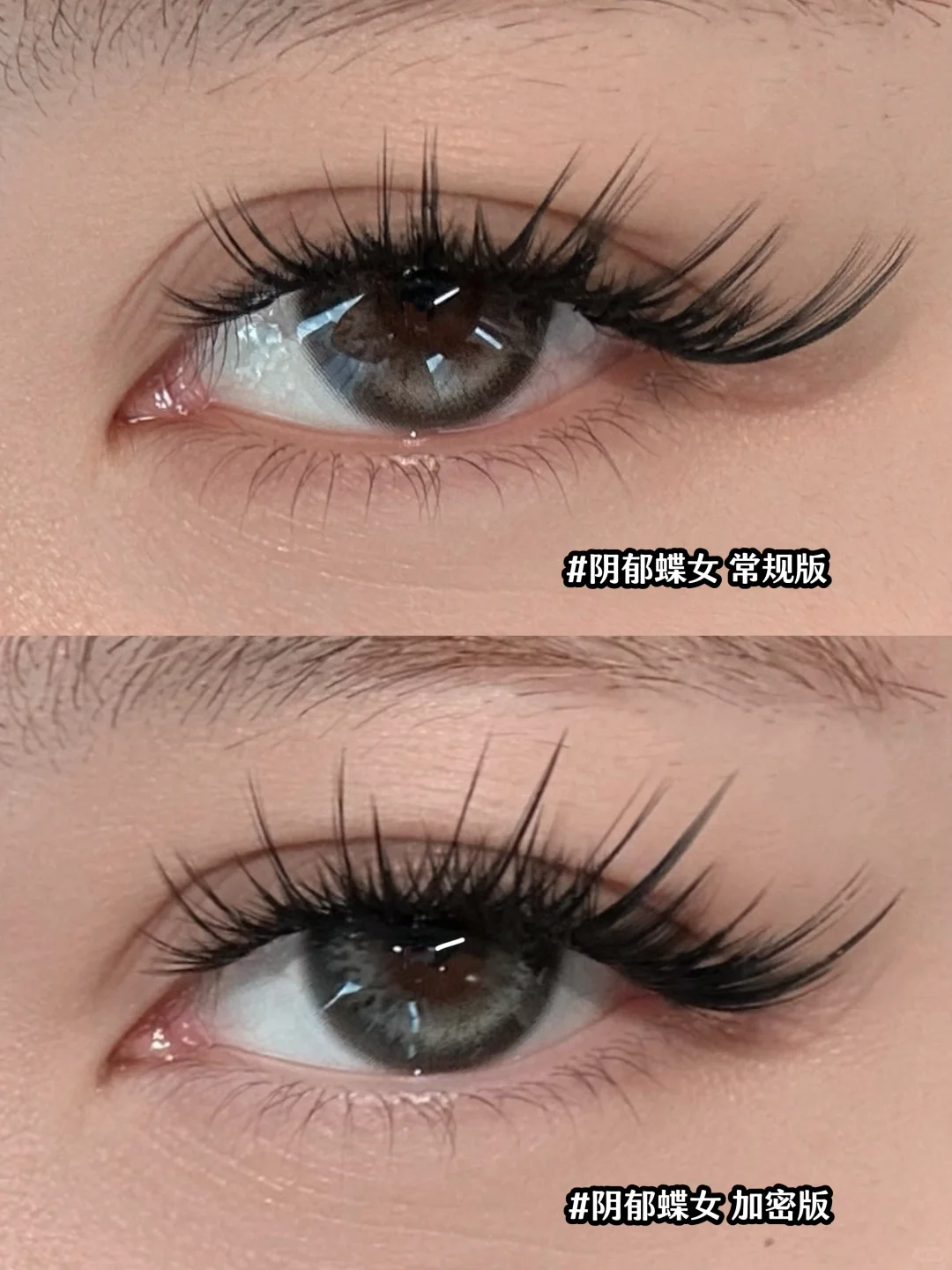 阴郁蝶女更阴郁了🖤加密版浓浓的很安心