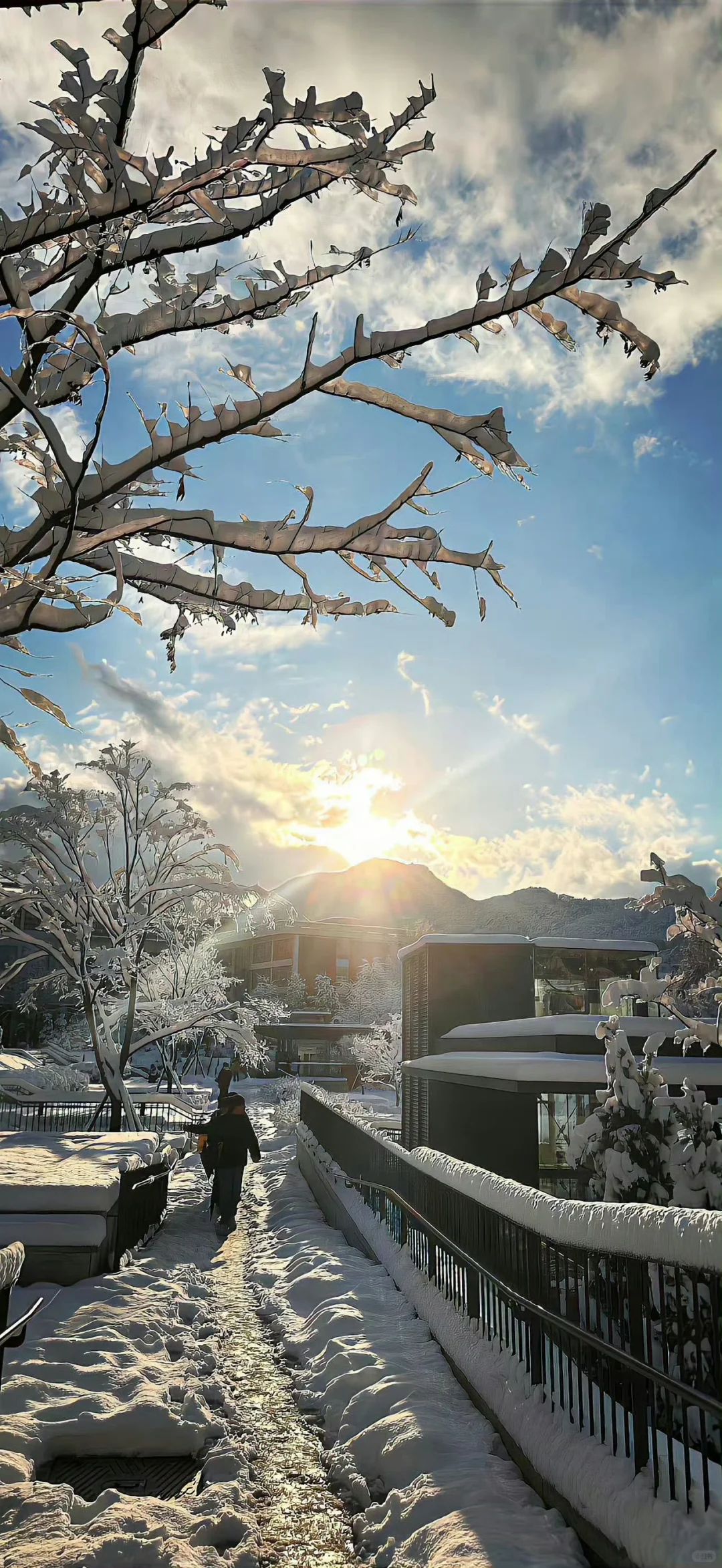 壁纸丨适合冬天用的壁纸