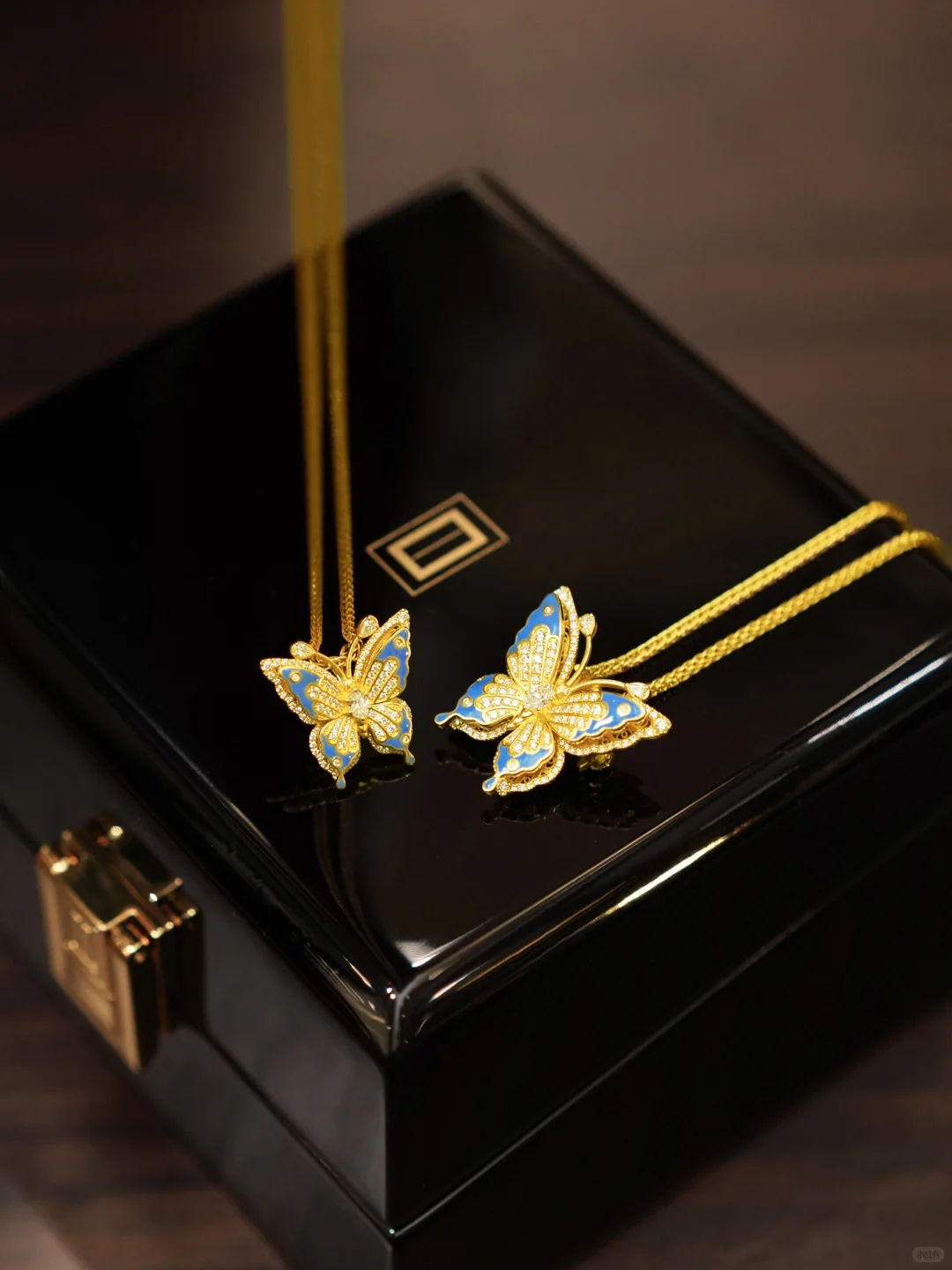 “光明女神”闪蝶-翩然而至的金色梦境✨