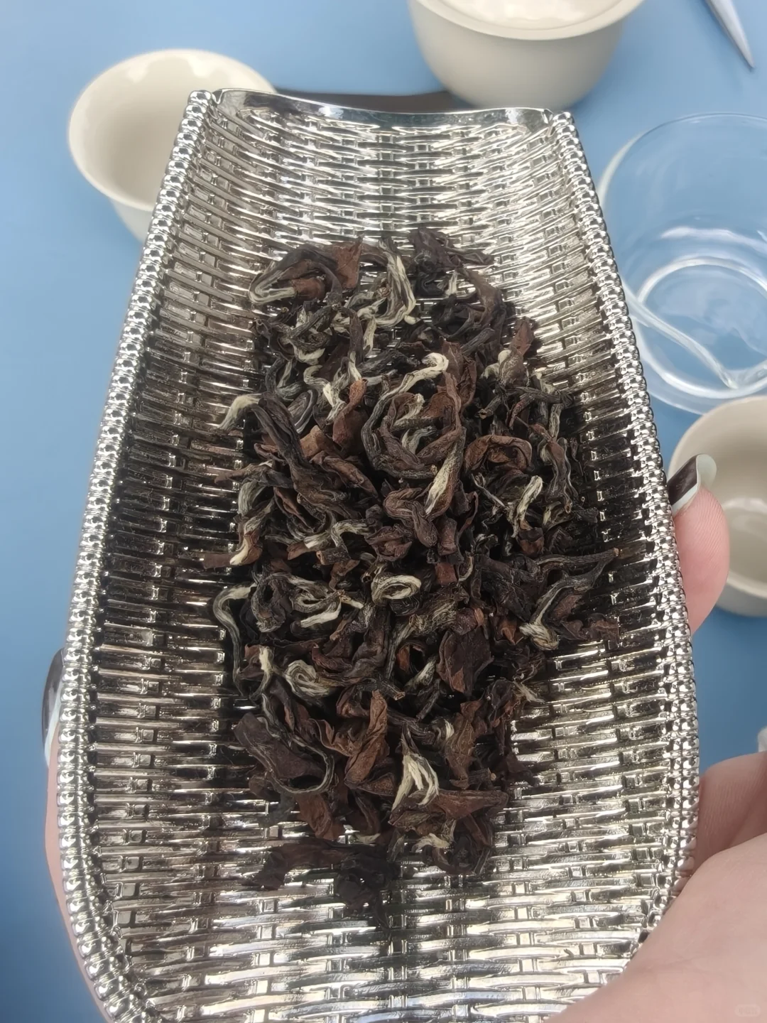 2025年最惊喜的东方美人测评—倾城