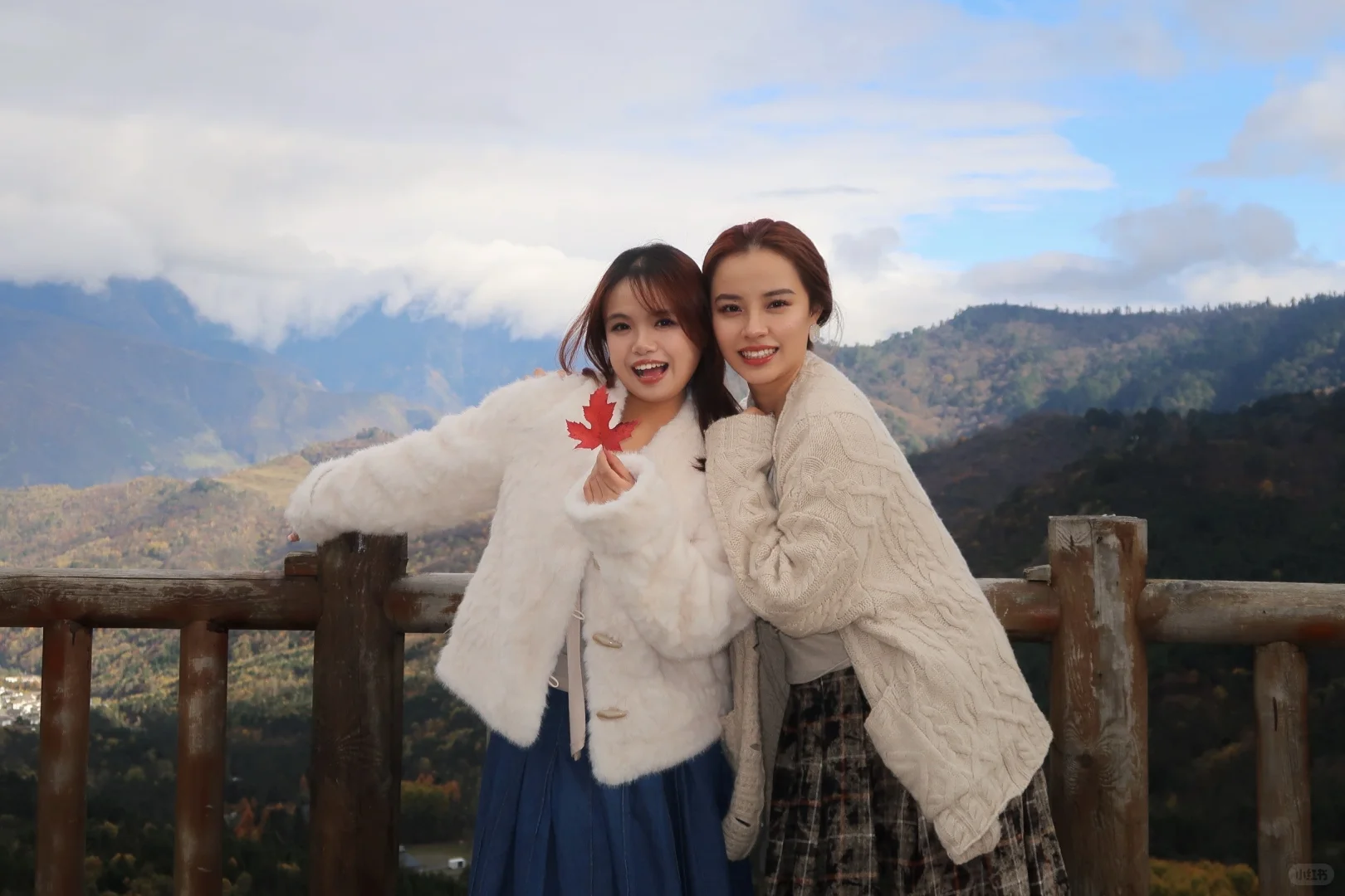 最后一抹秋黄，是写给冬天的序章。