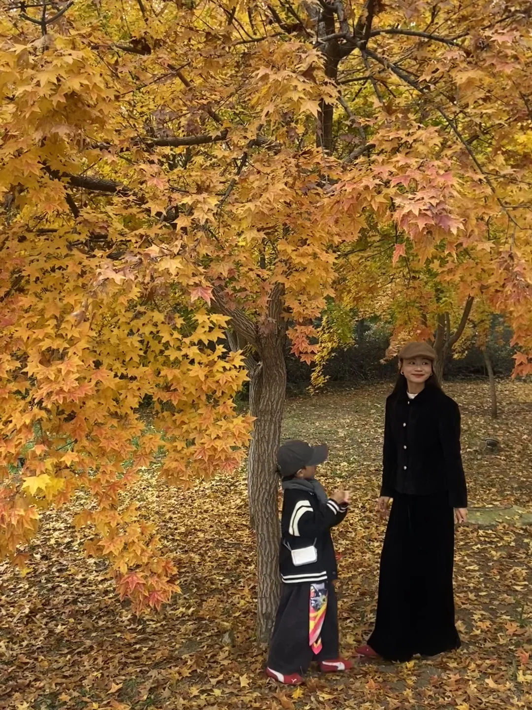 11.8实况！青岛最适合拍人像的枫叶🍁！