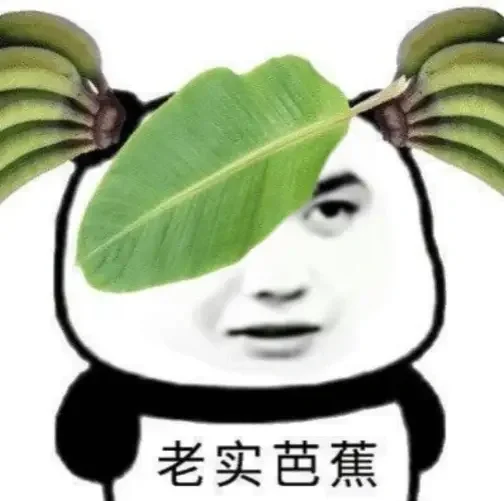 龙龙上新｜快来进货嘻嘻