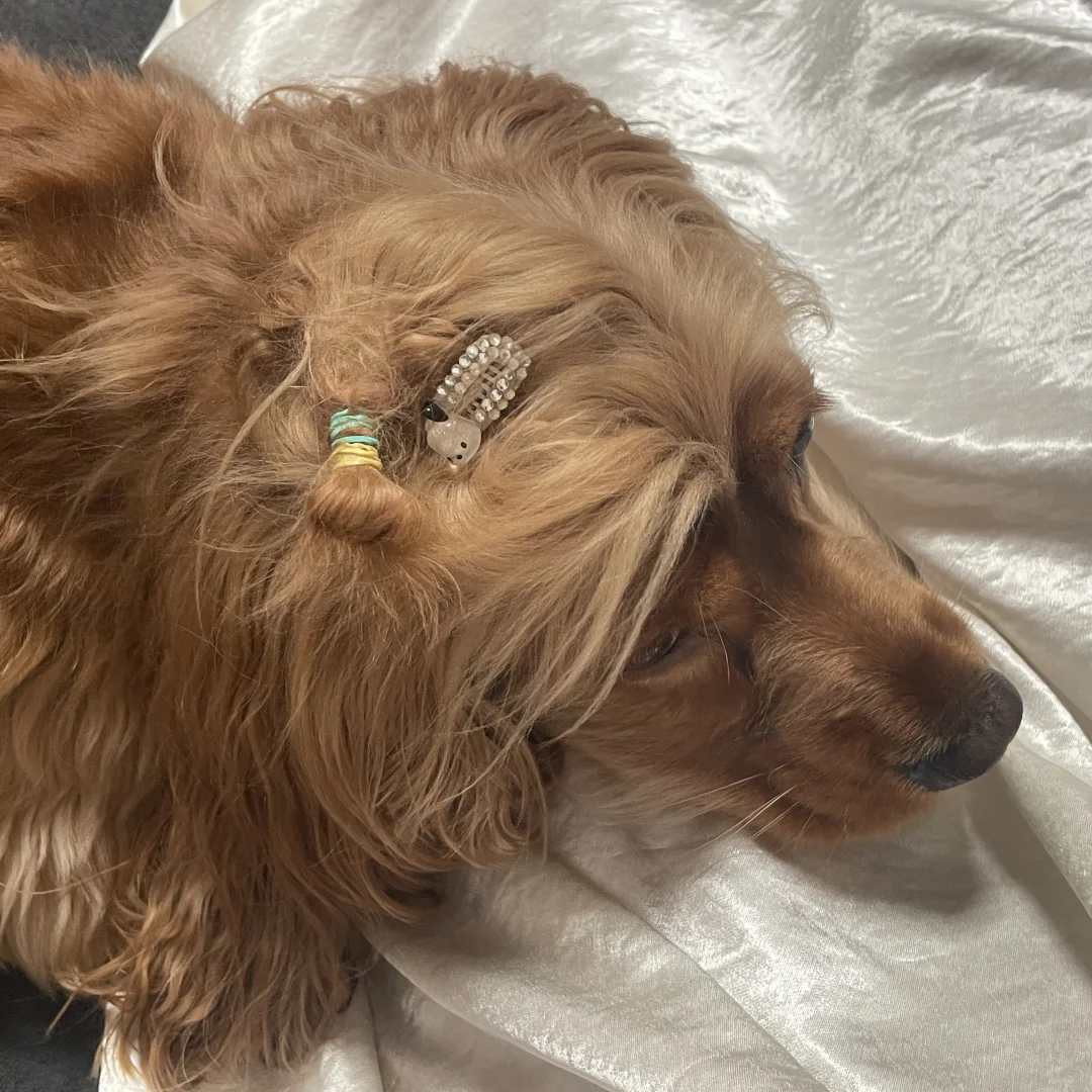 不知道有没有人跟我一样喜欢这种长睡裙