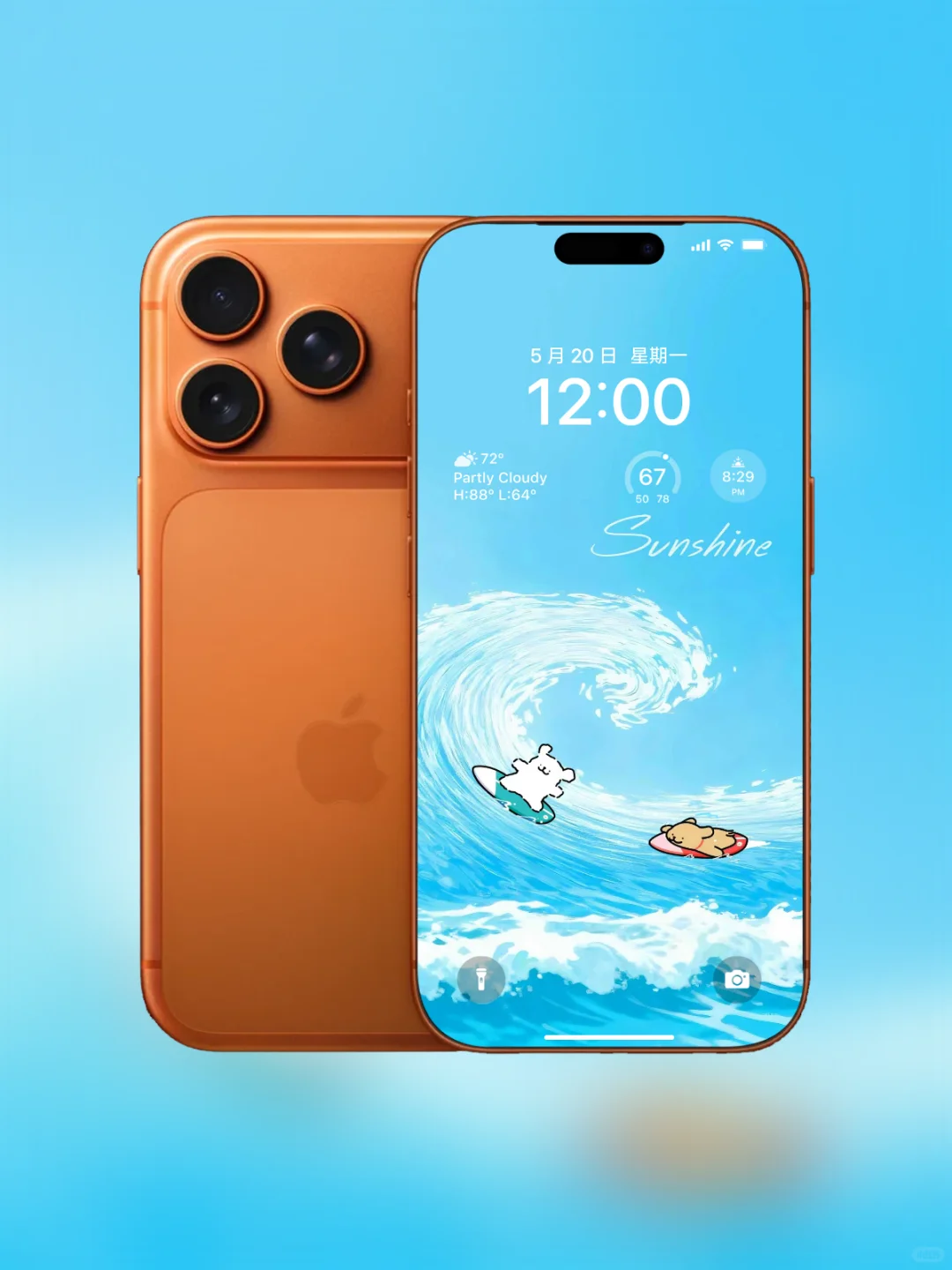 YiY壁纸分享｜冲浪小狗｜Q003