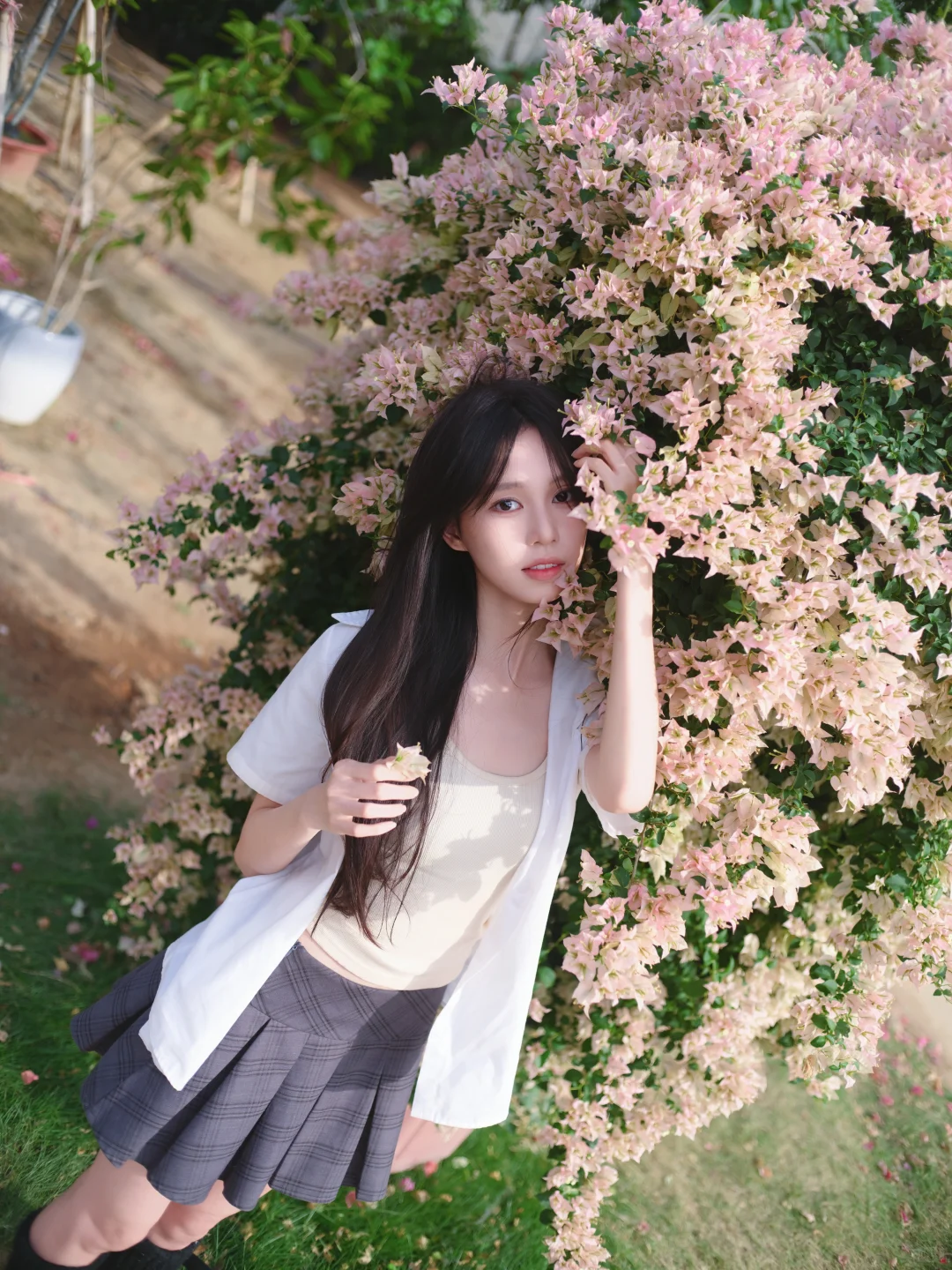 一颗三角梅就有各种角度