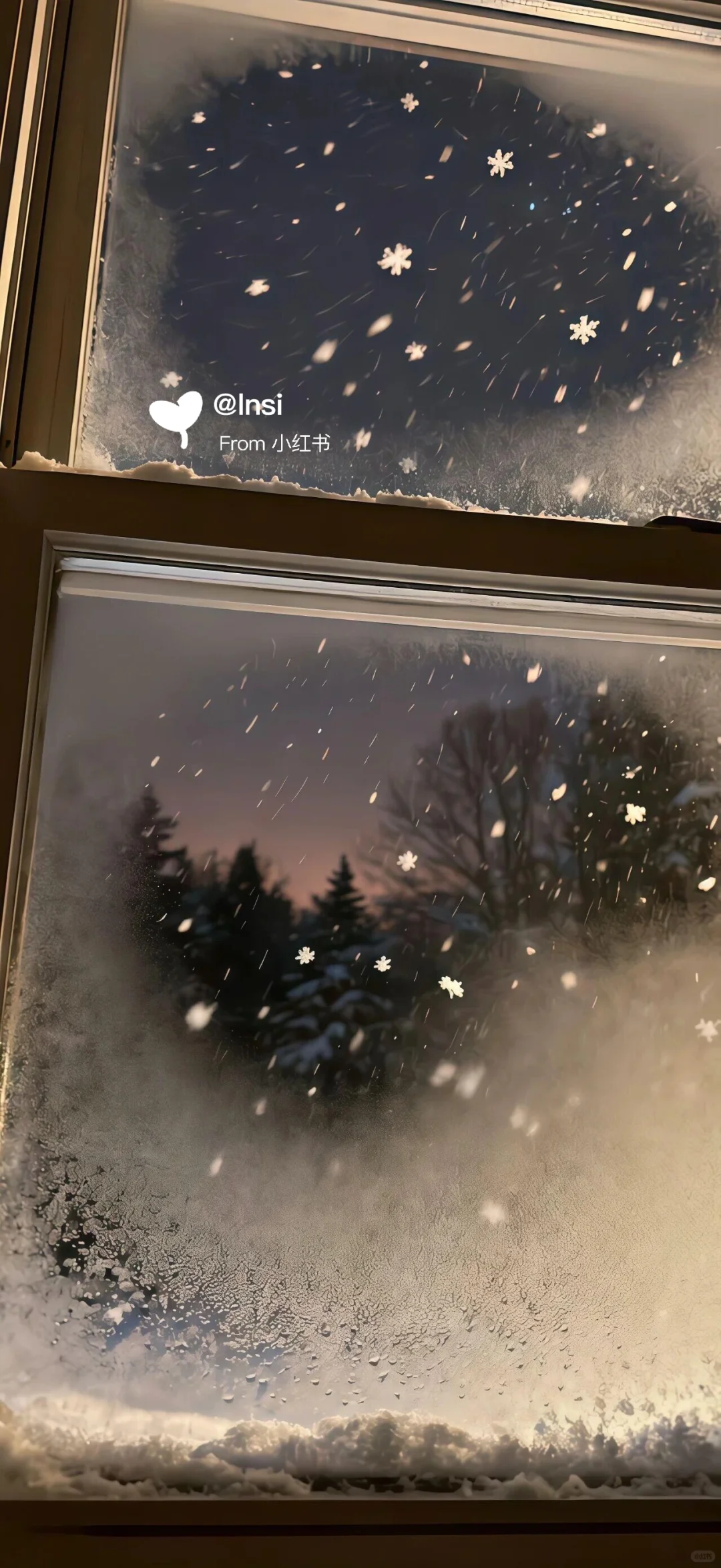 每日壁纸｜❄️❄️❄️ 祝大家11月顺利。