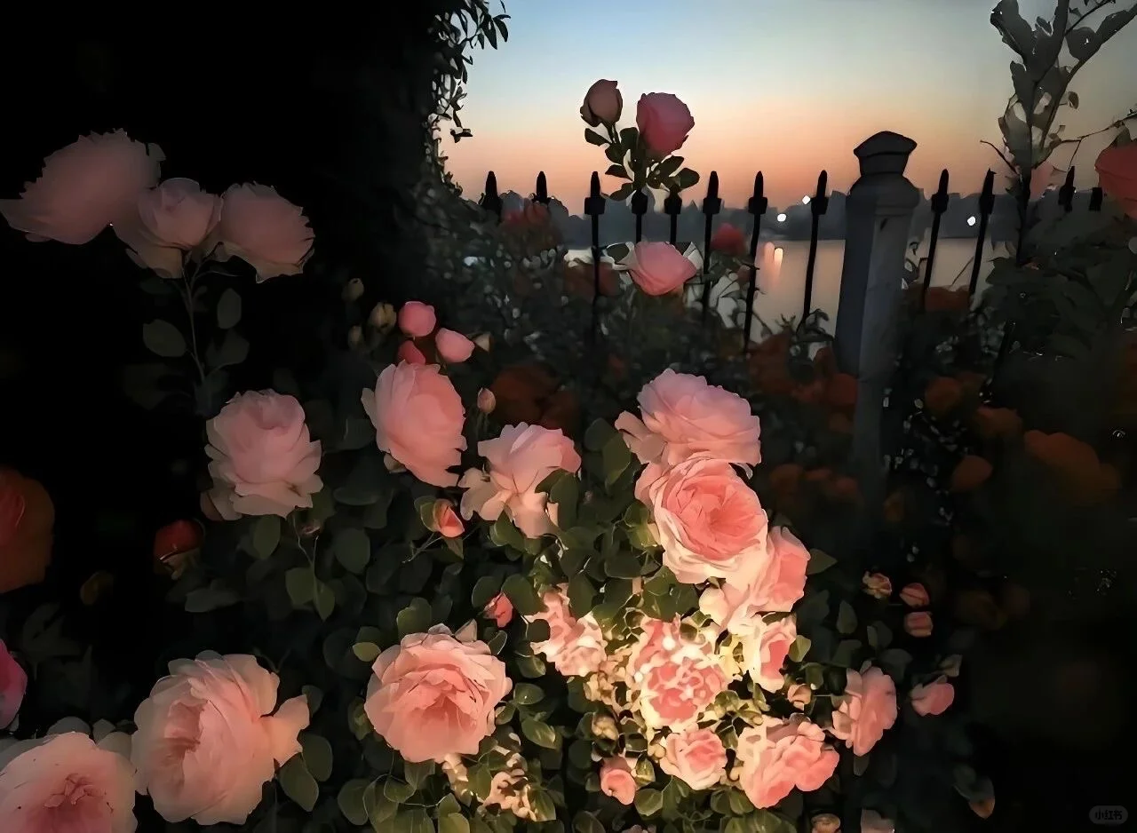 ios26 ipad裸眼3d壁纸