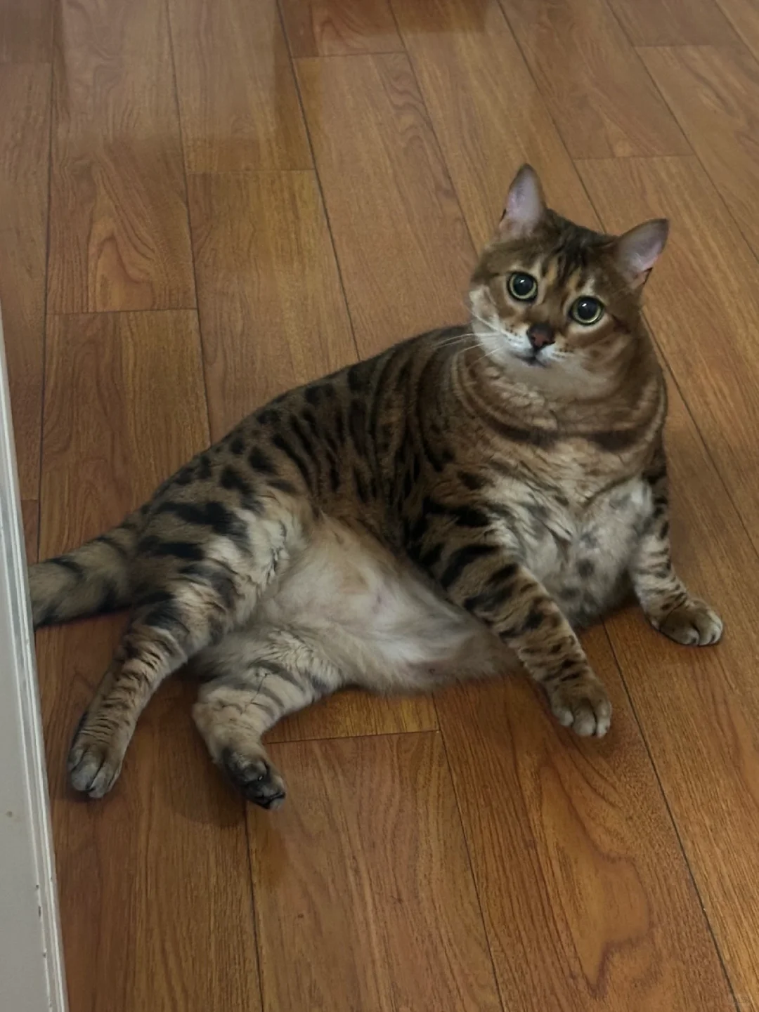 蟒姐｜狐媚子劲这玩意是天生的