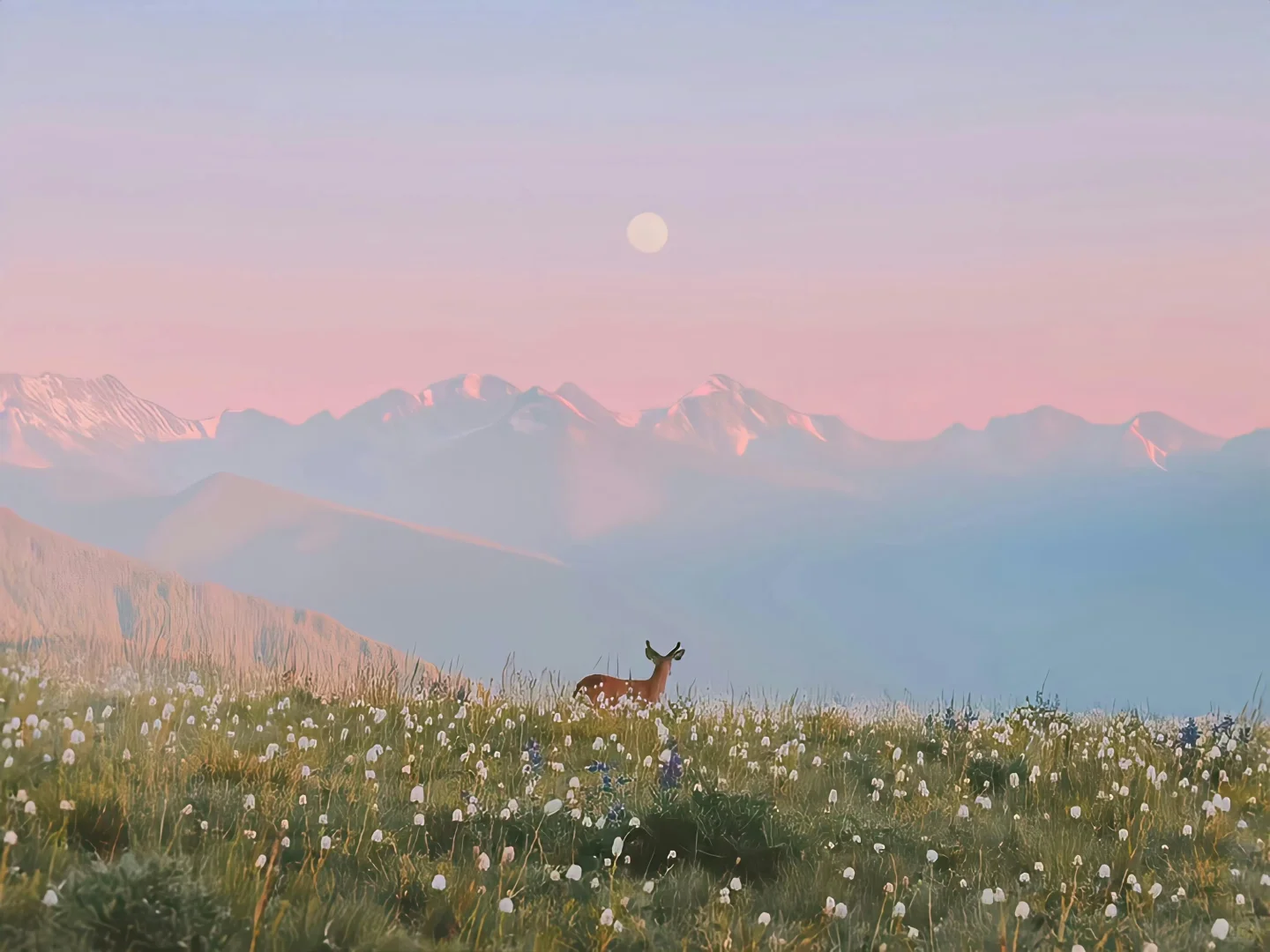 ins风氛围感高级iPad电脑壁纸合集分享