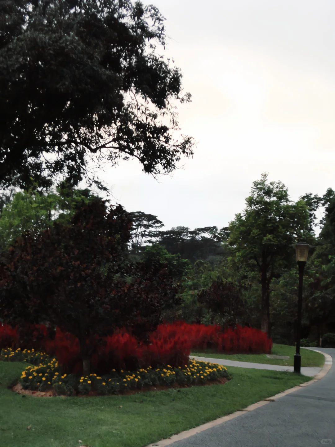 爱原来只适合做花园