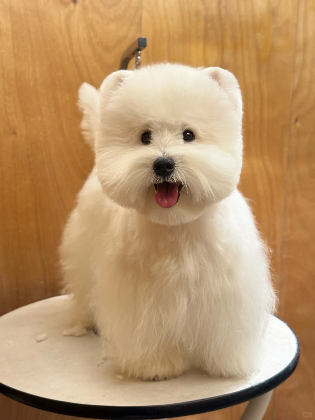 美少女大变身🥳