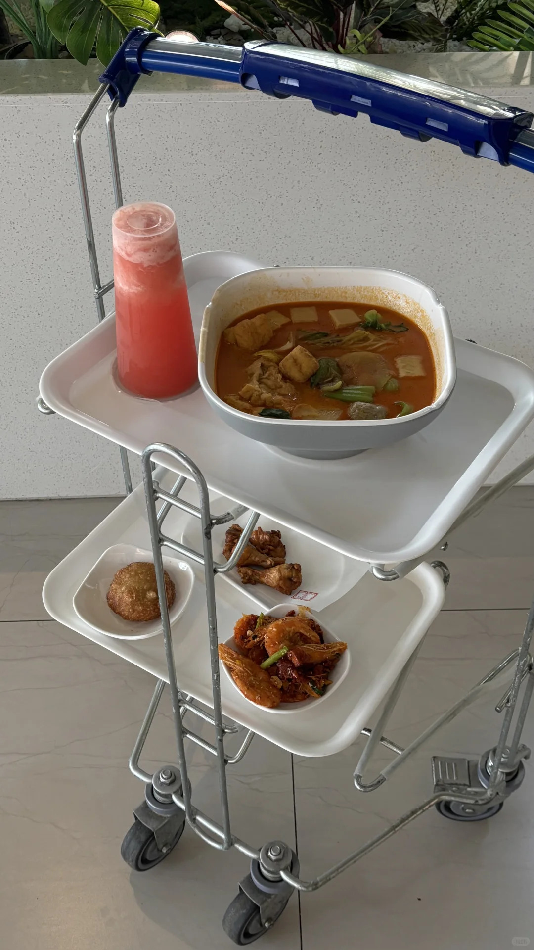 在阿那亚的幸福瞬间📖🌊